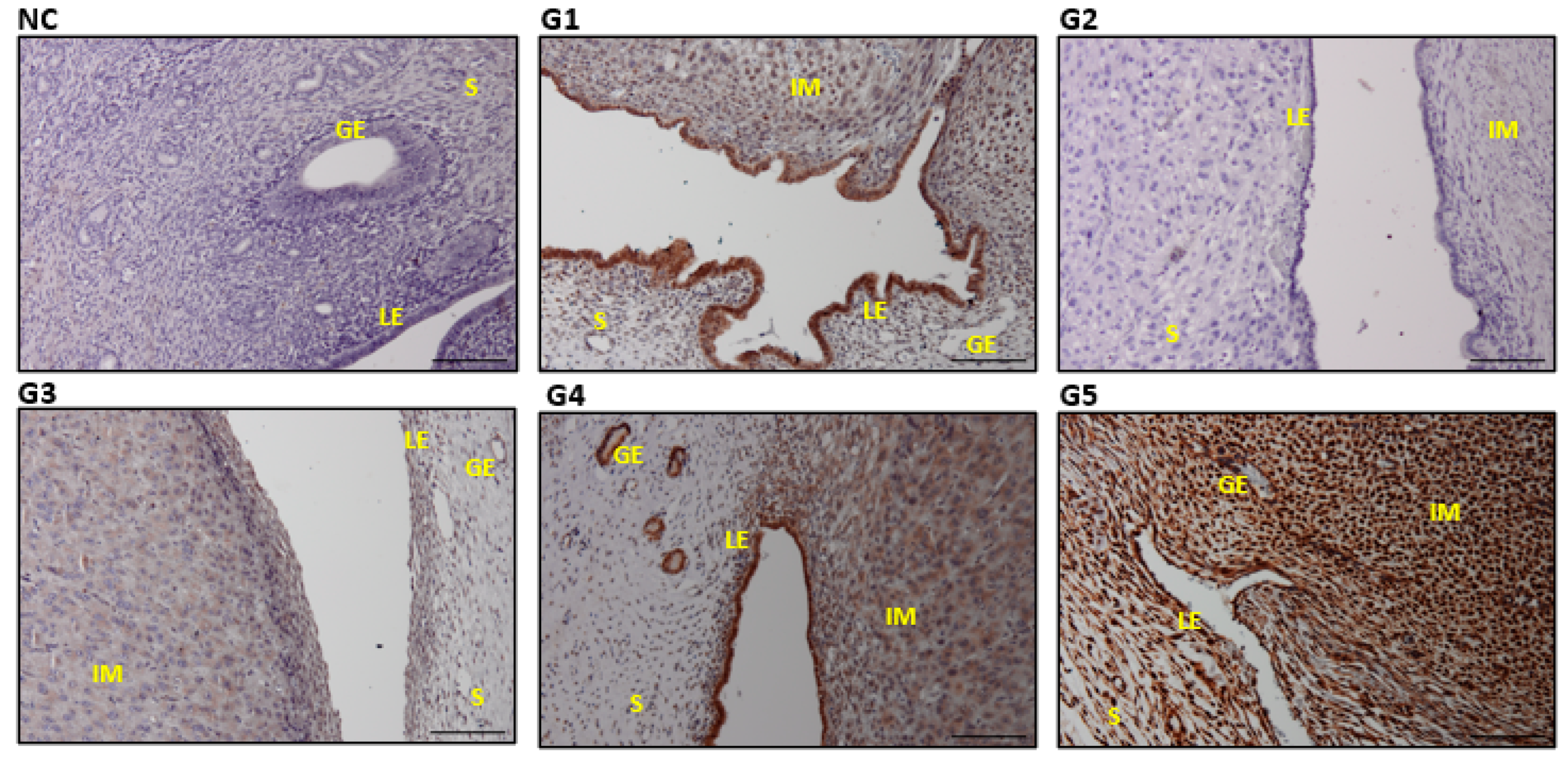 Biology 14 00159 g011