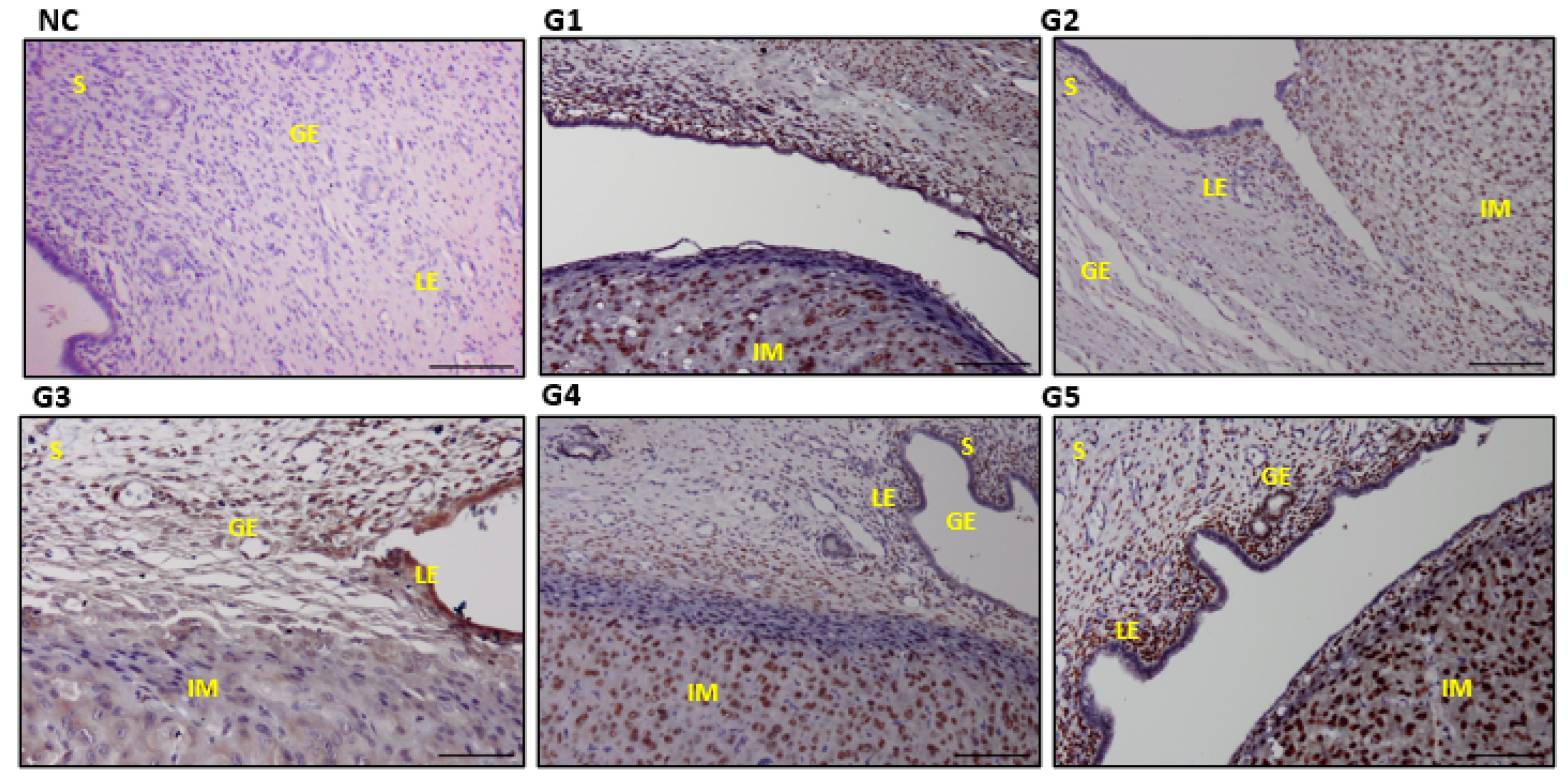 Biology 14 00159 g012