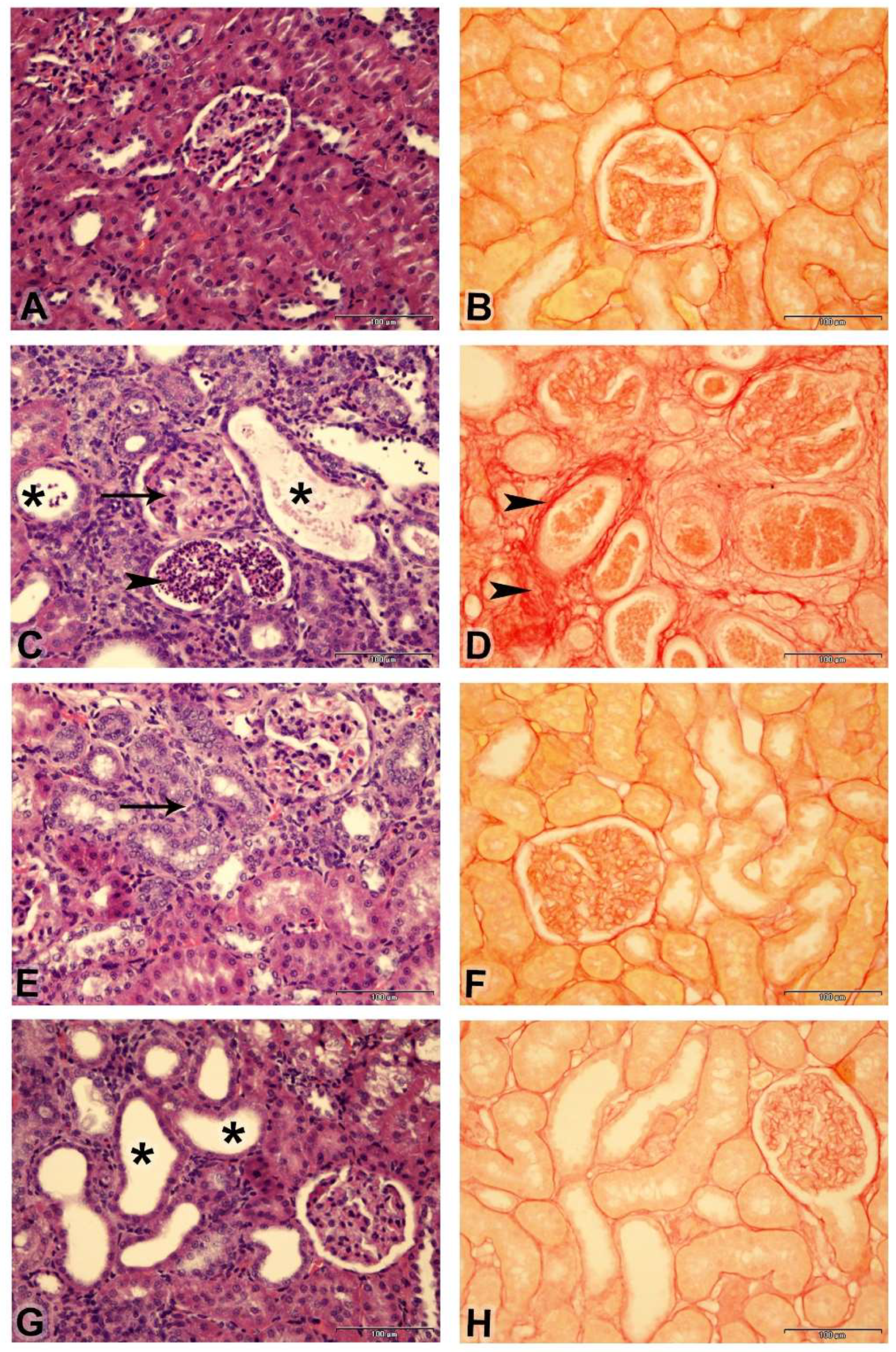 Biology 14 00161 g005