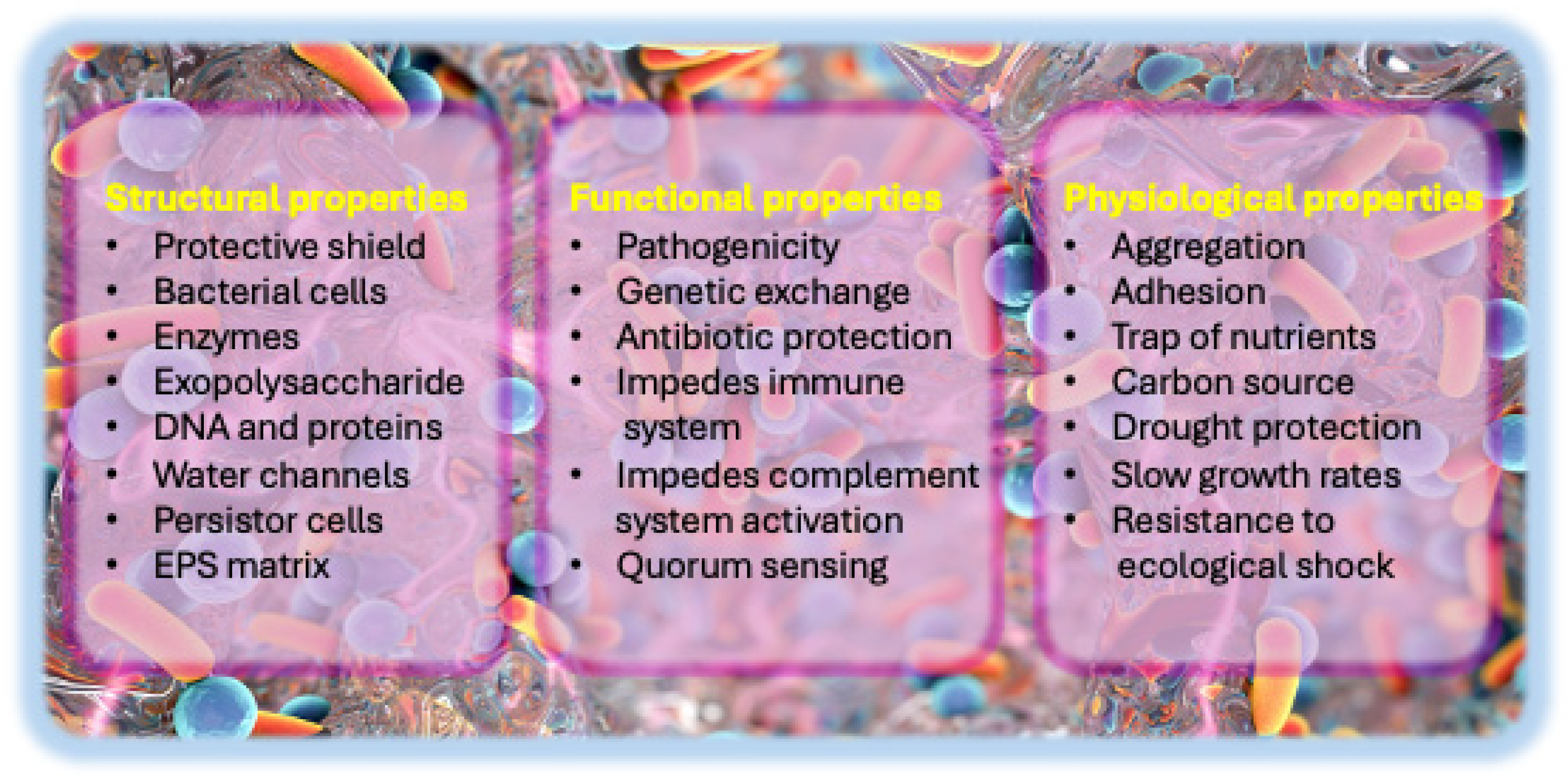 Biology 14 00165 g001