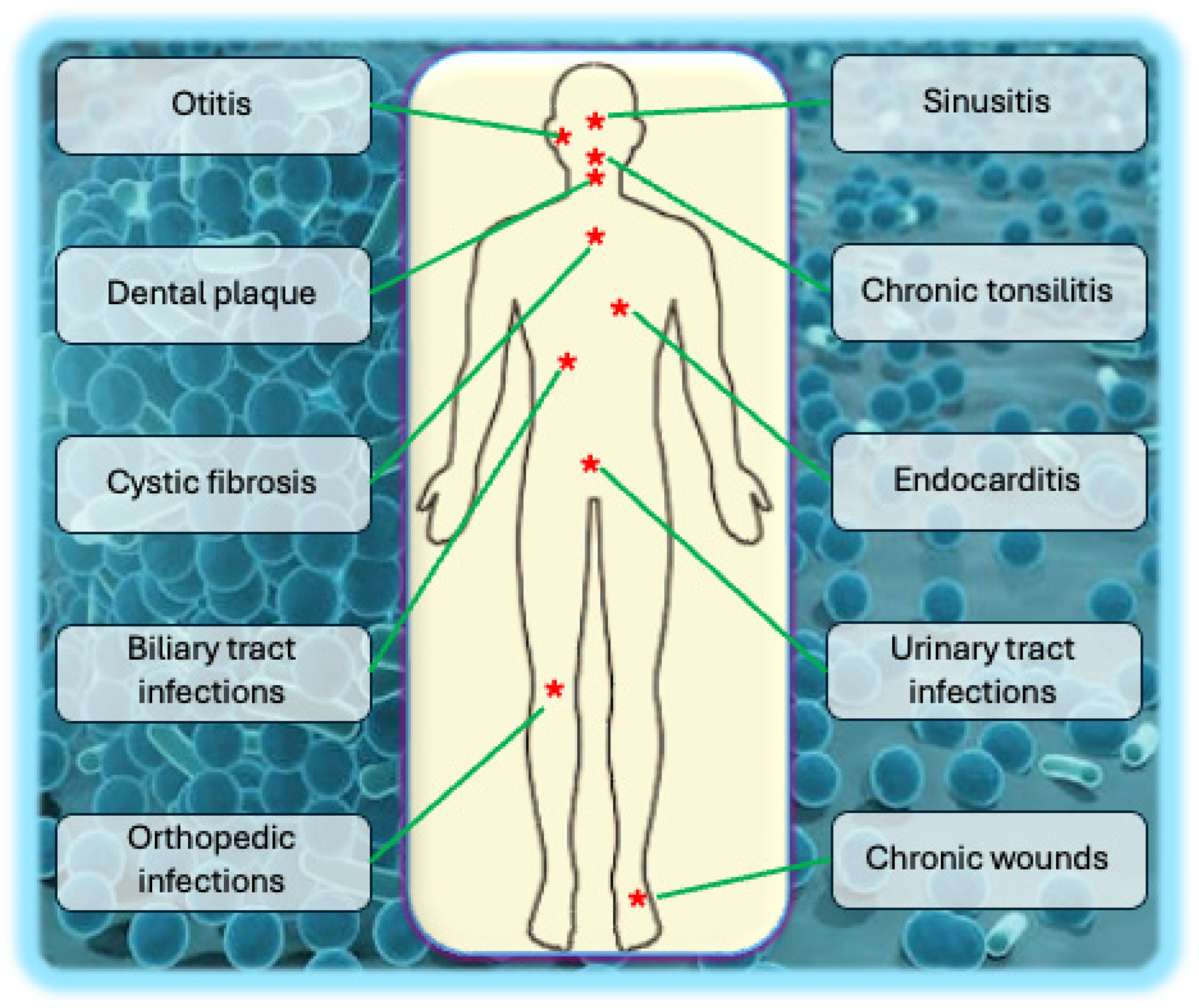 Biology 14 00165 g003