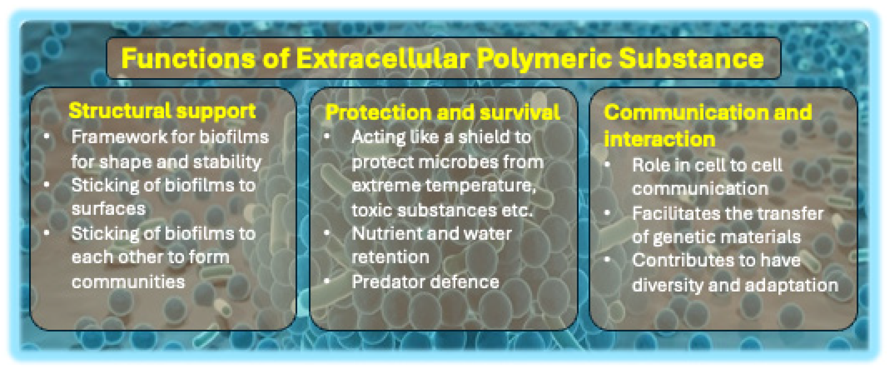 Biology 14 00165 g004
