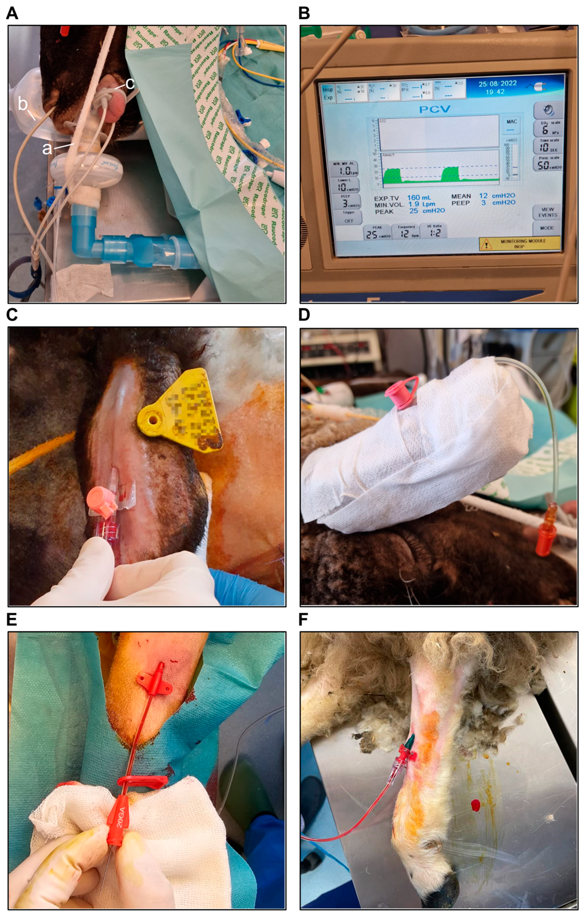 Biology 14 00170 g003