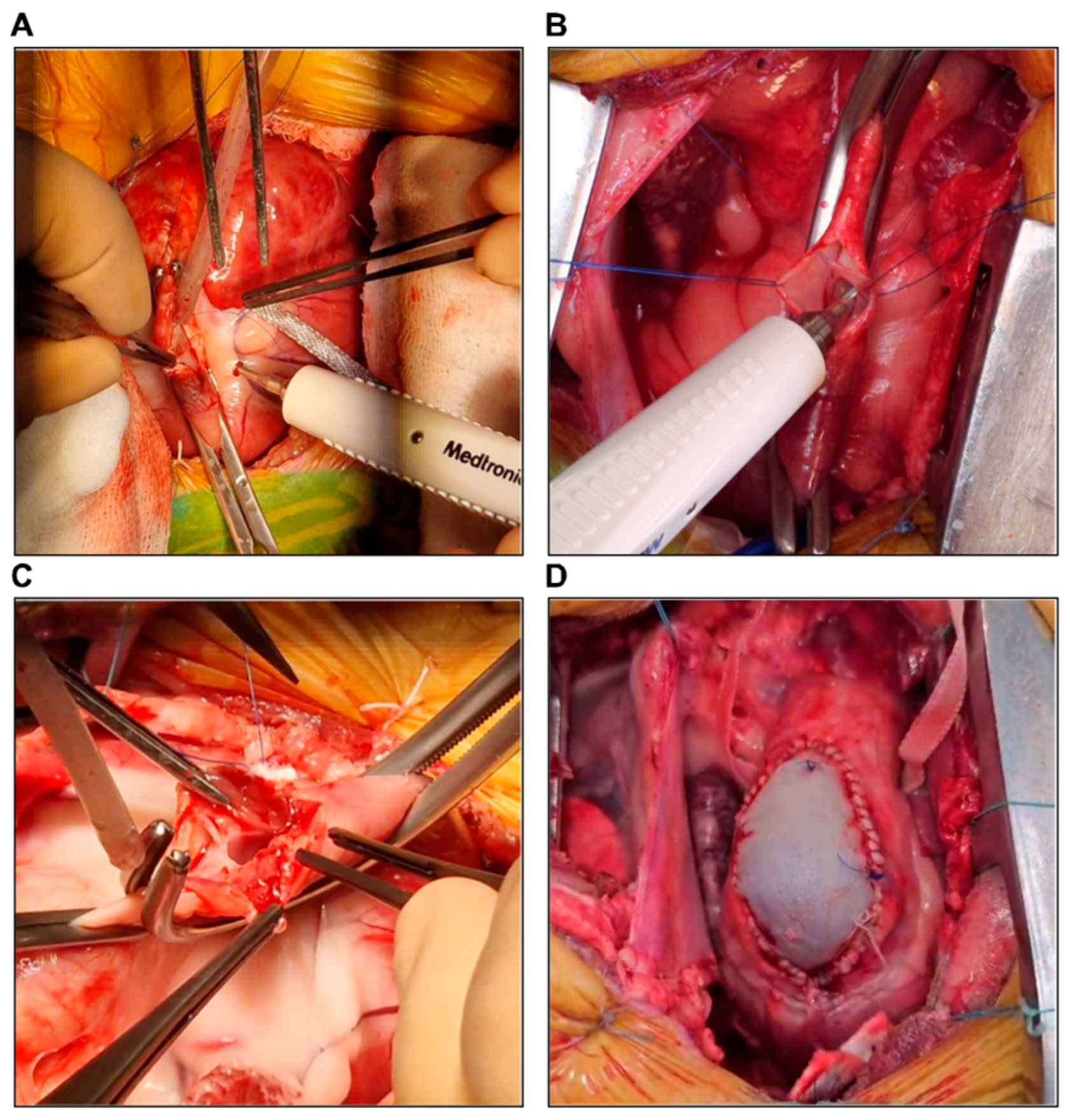 Biology 14 00170 g006