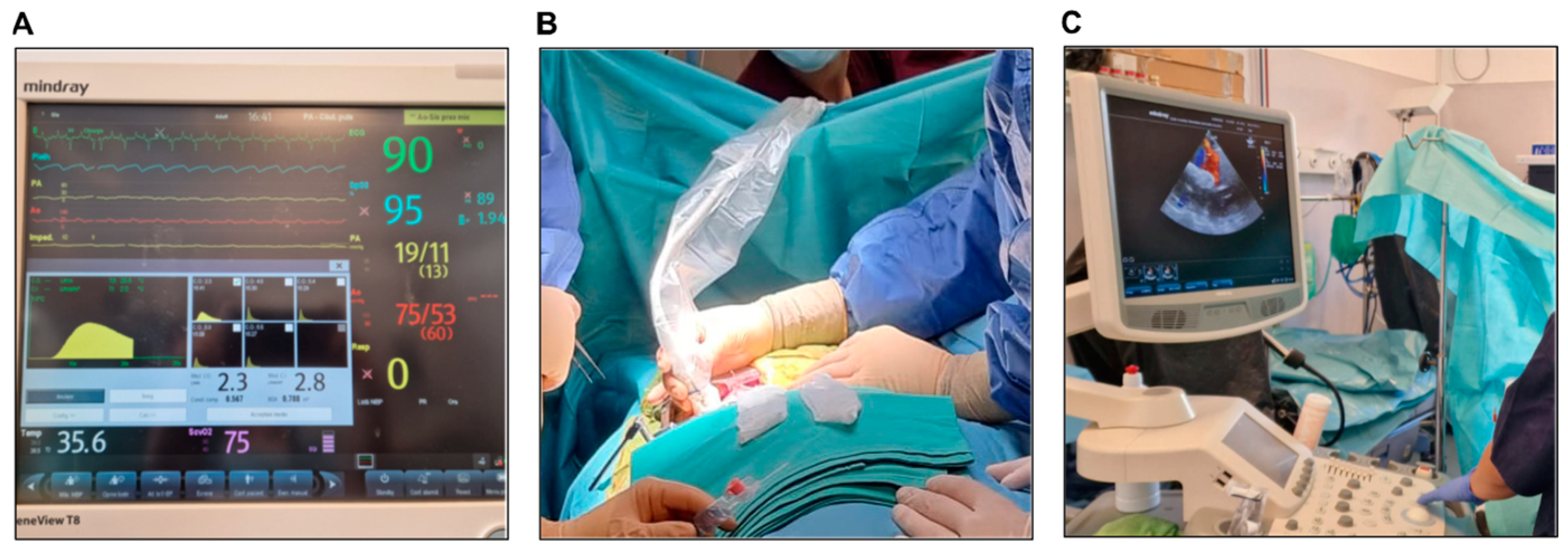 Biology 14 00170 g007