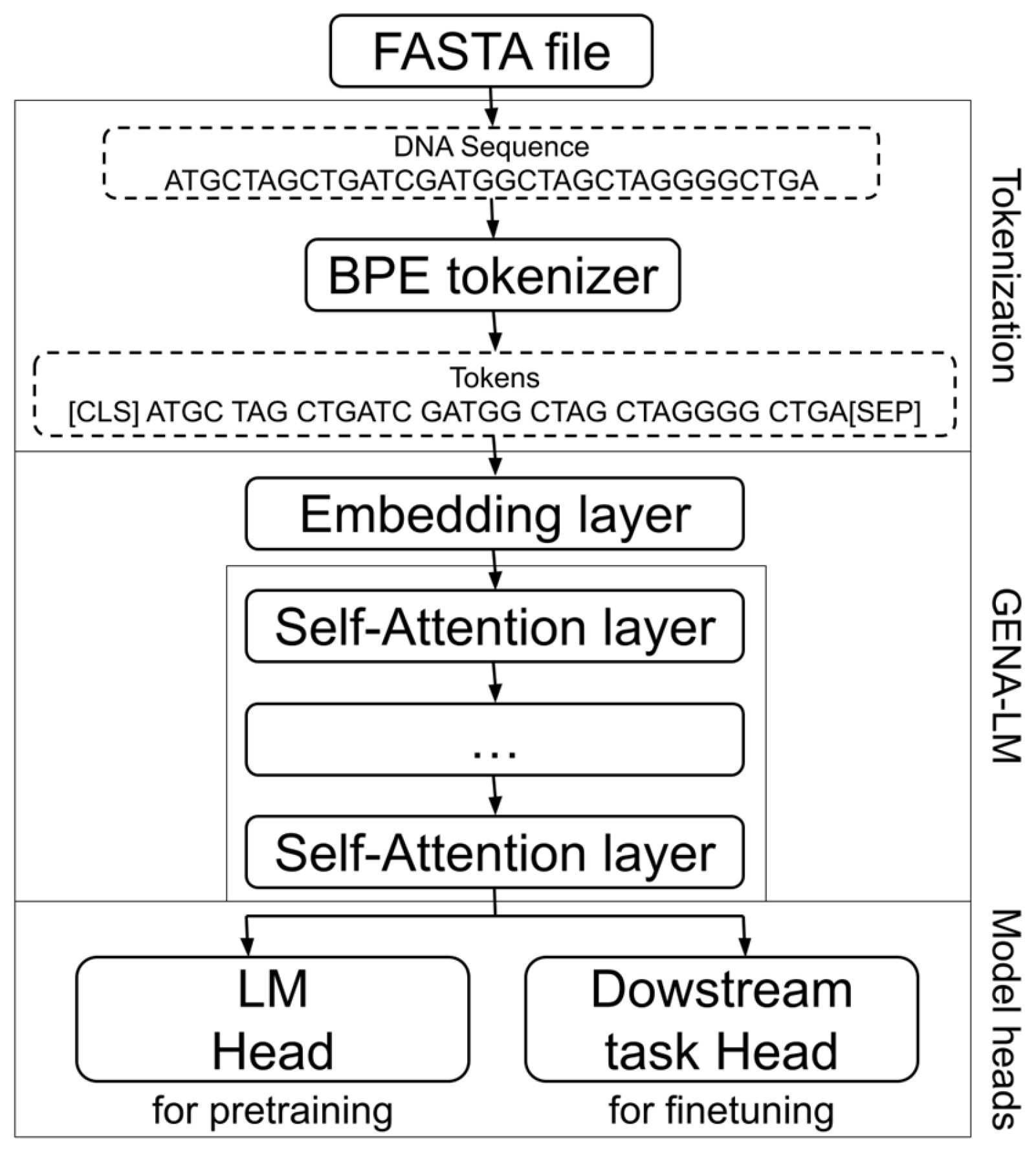 Biology 14 00172 g002