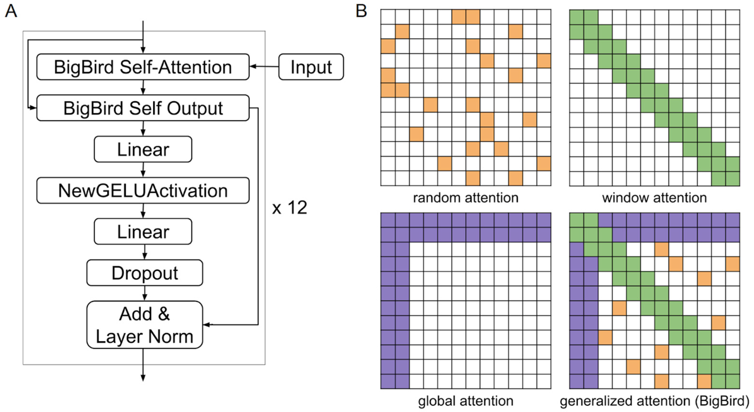 Biology 14 00172 g003