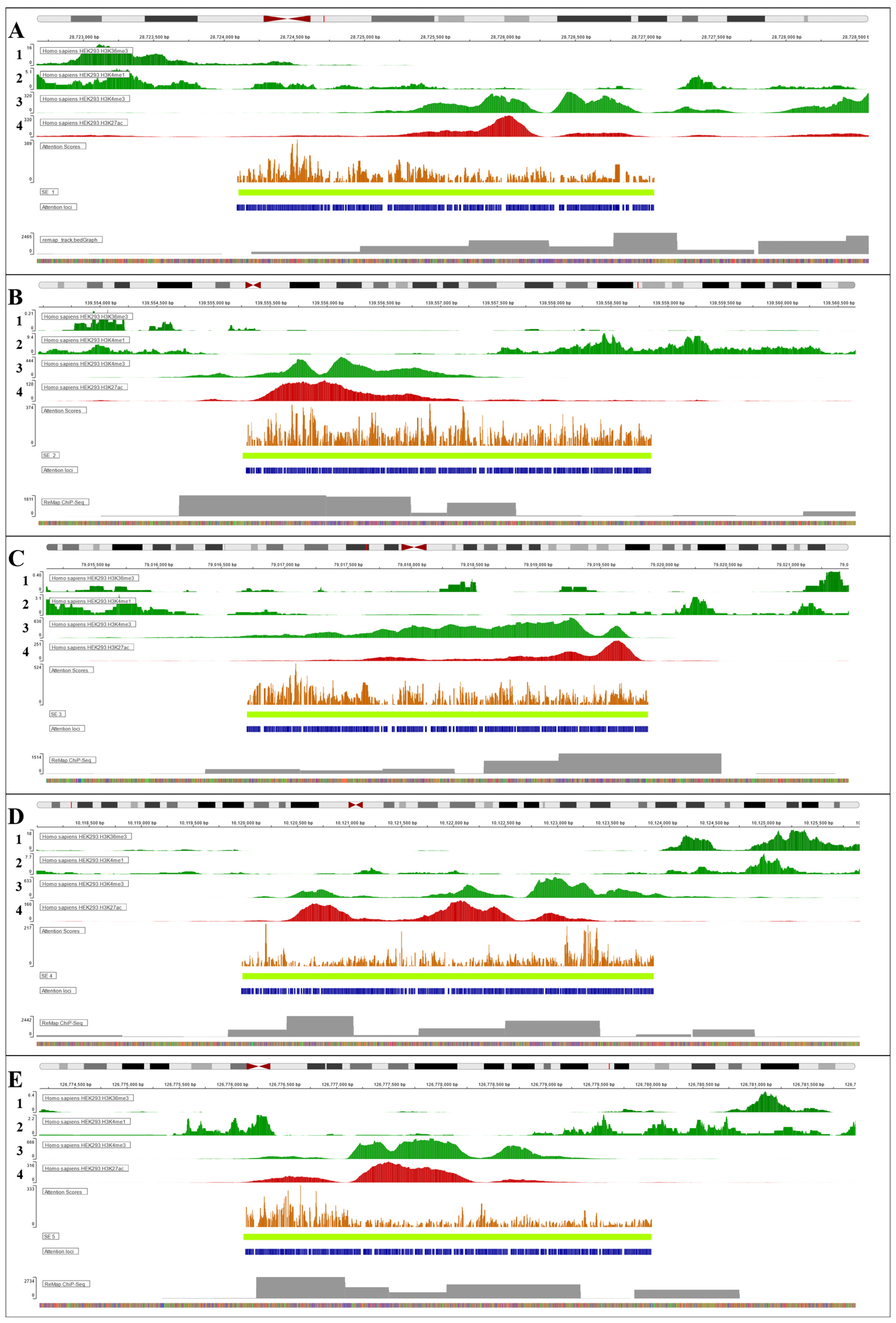 Biology 14 00172 g006
