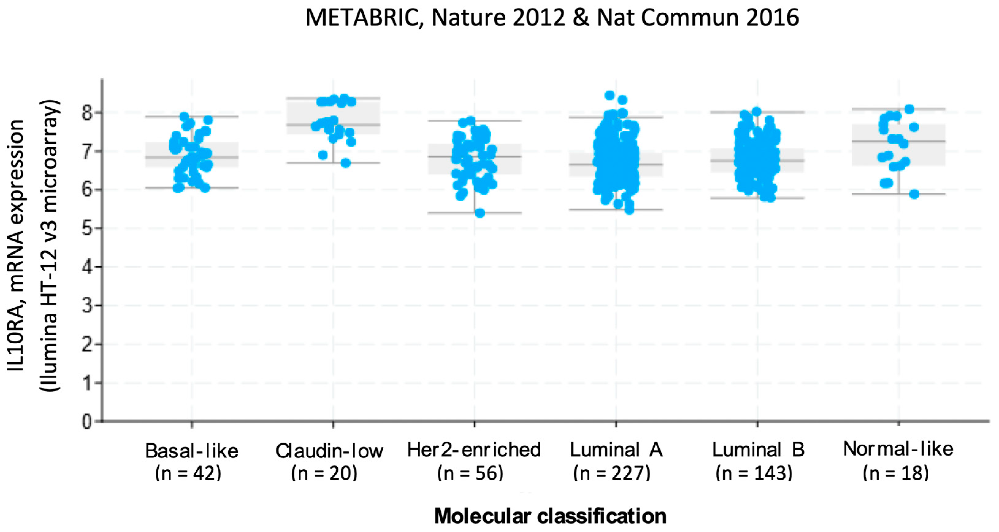 Biology 14 00174 g001
