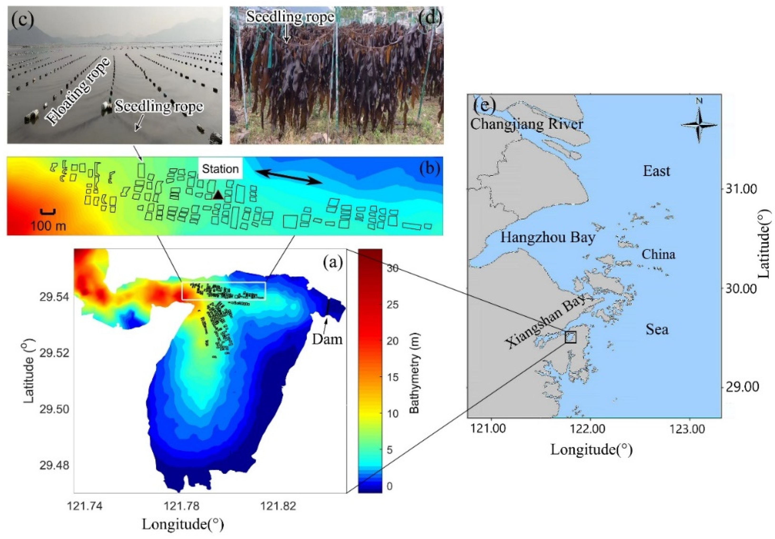 Biology 14 00175 g001
