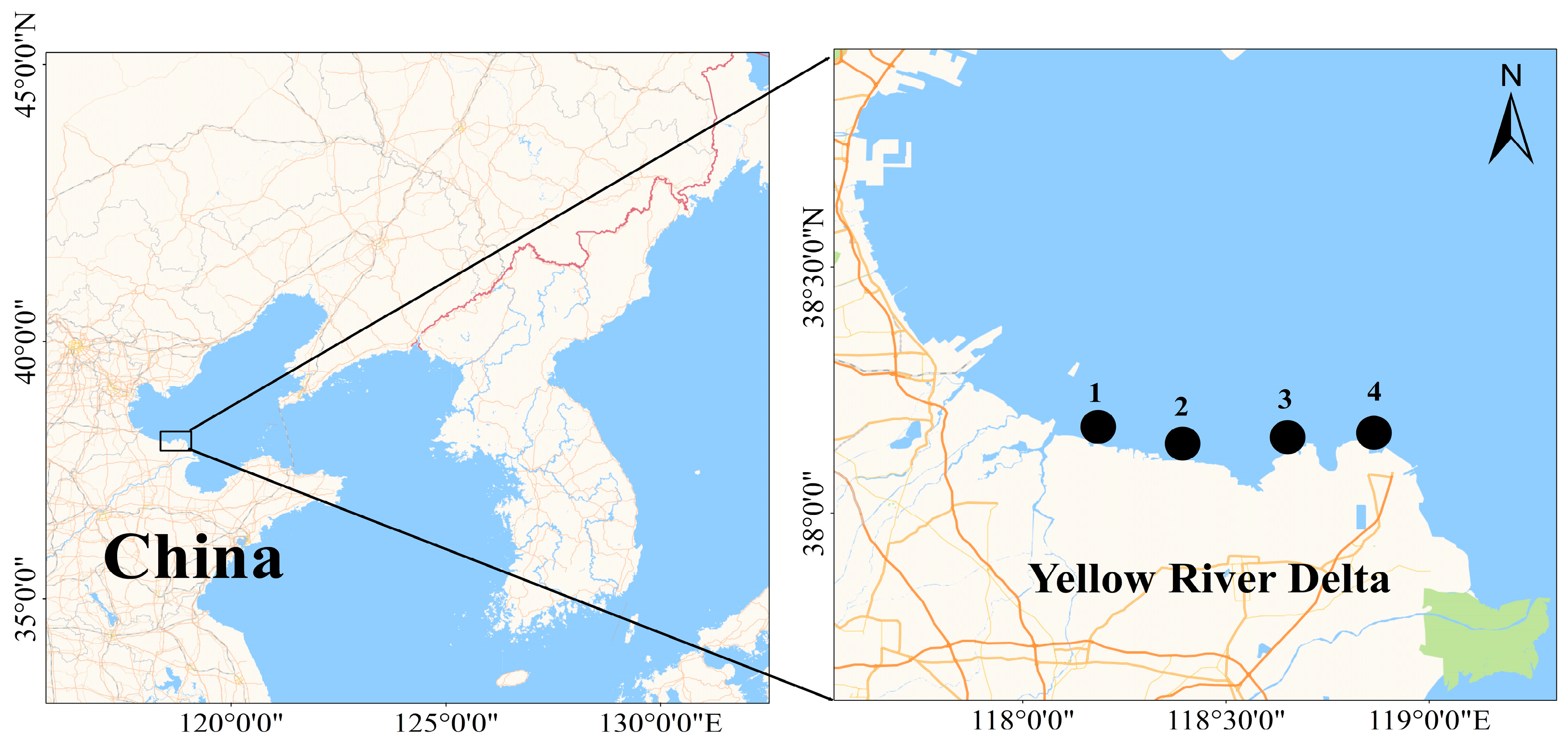 Biology 14 00176 g001