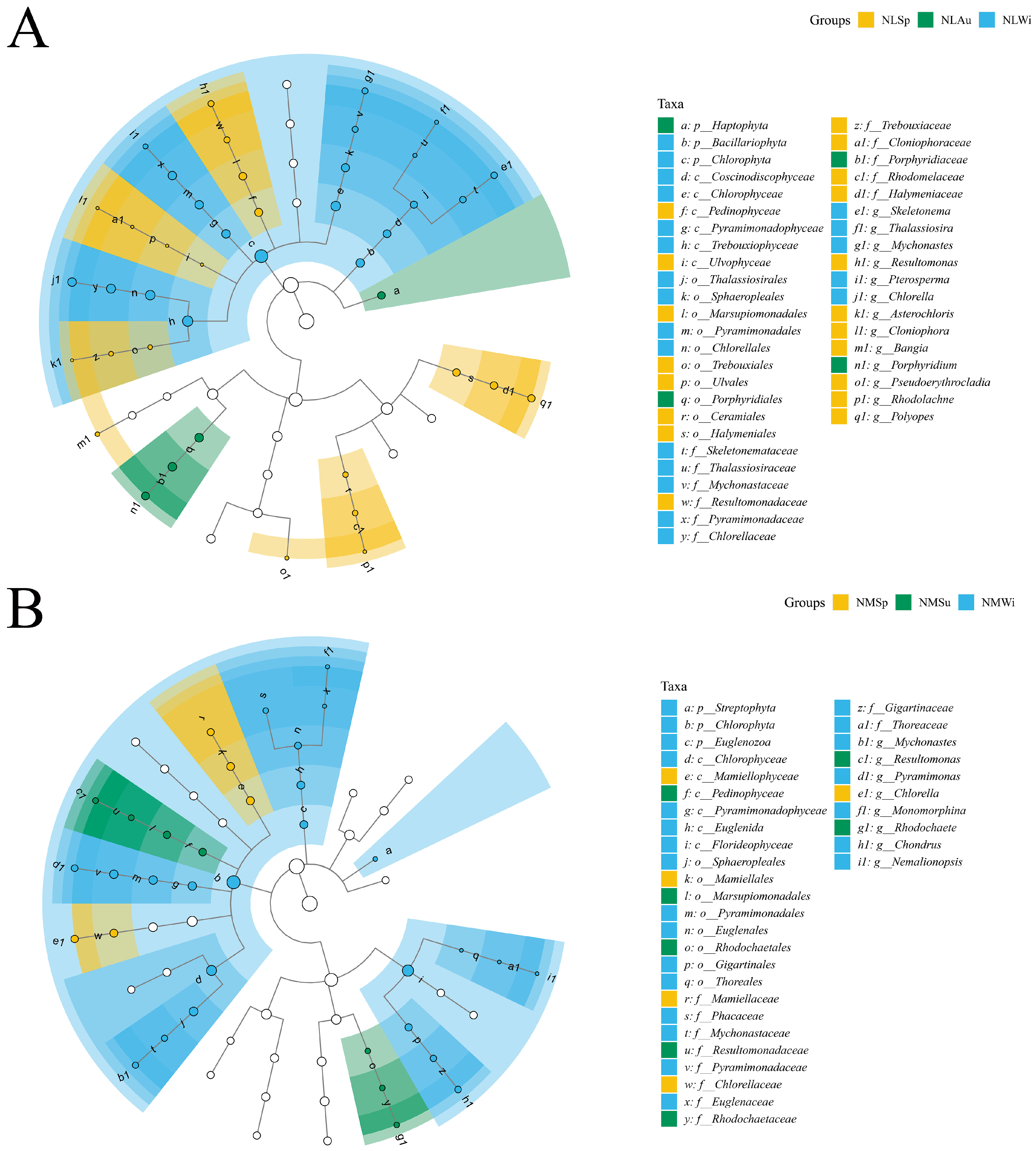 Biology 14 00176 g009