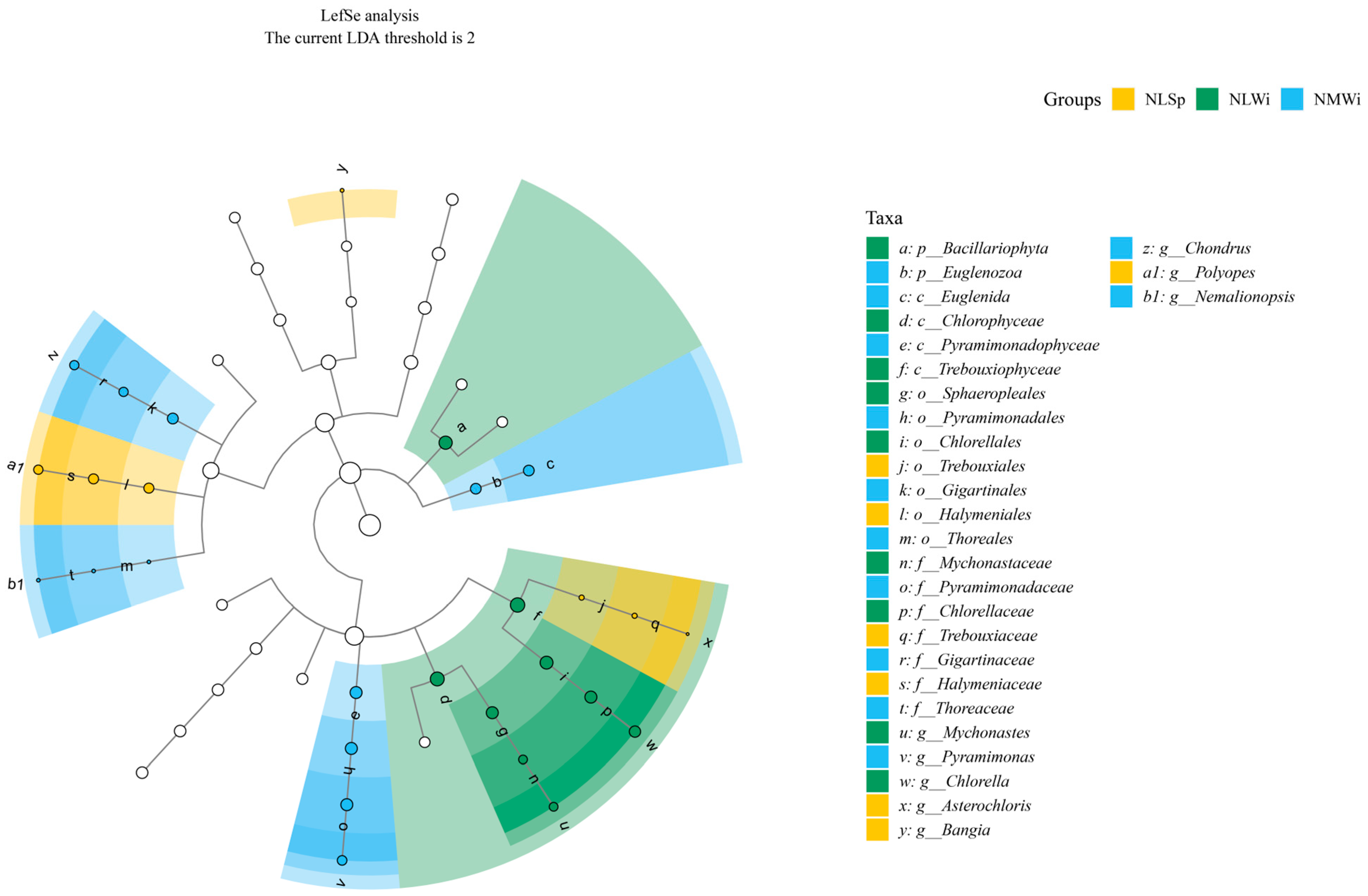 Biology 14 00176 g010