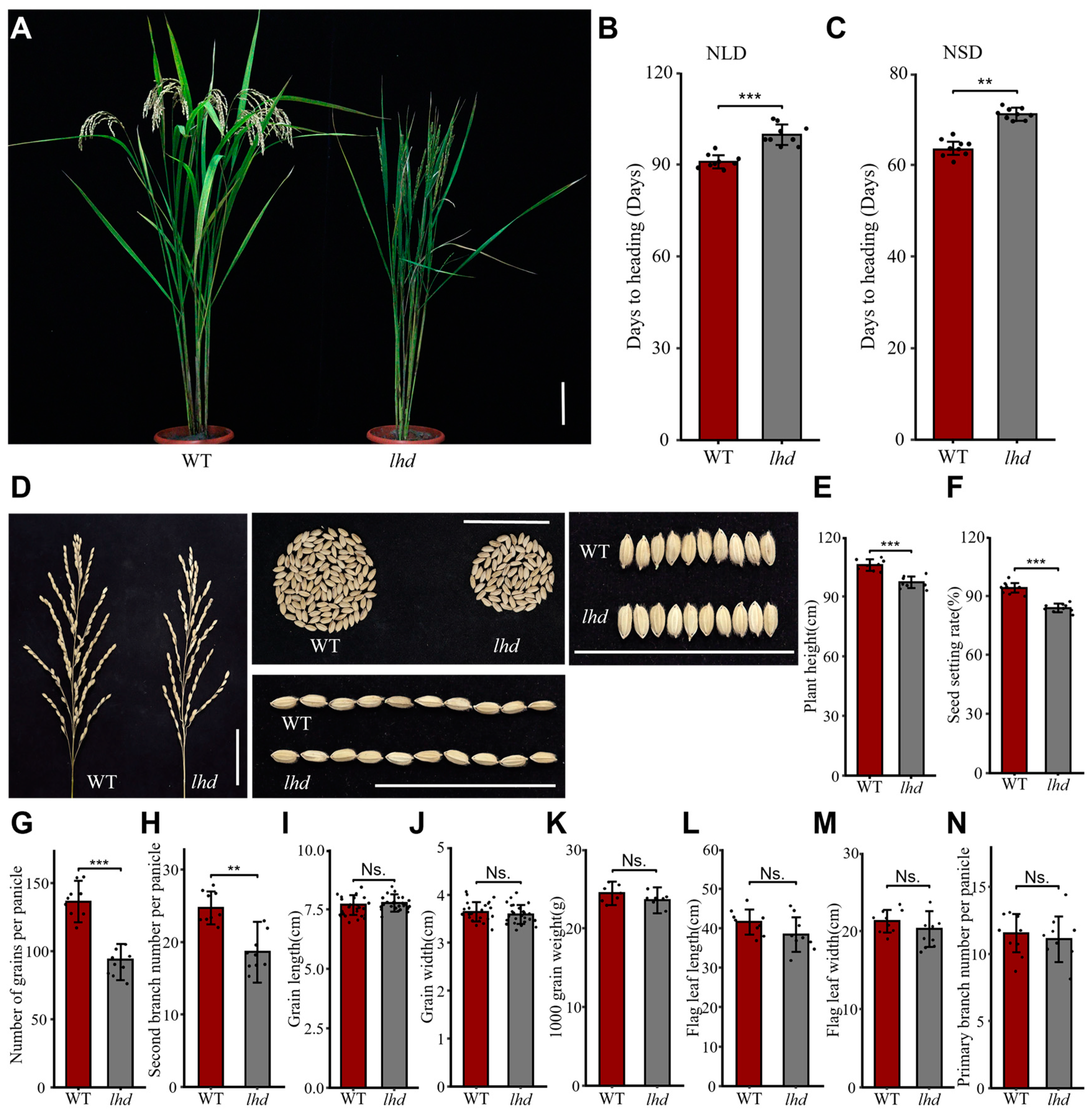 Biology 14 00178 g001