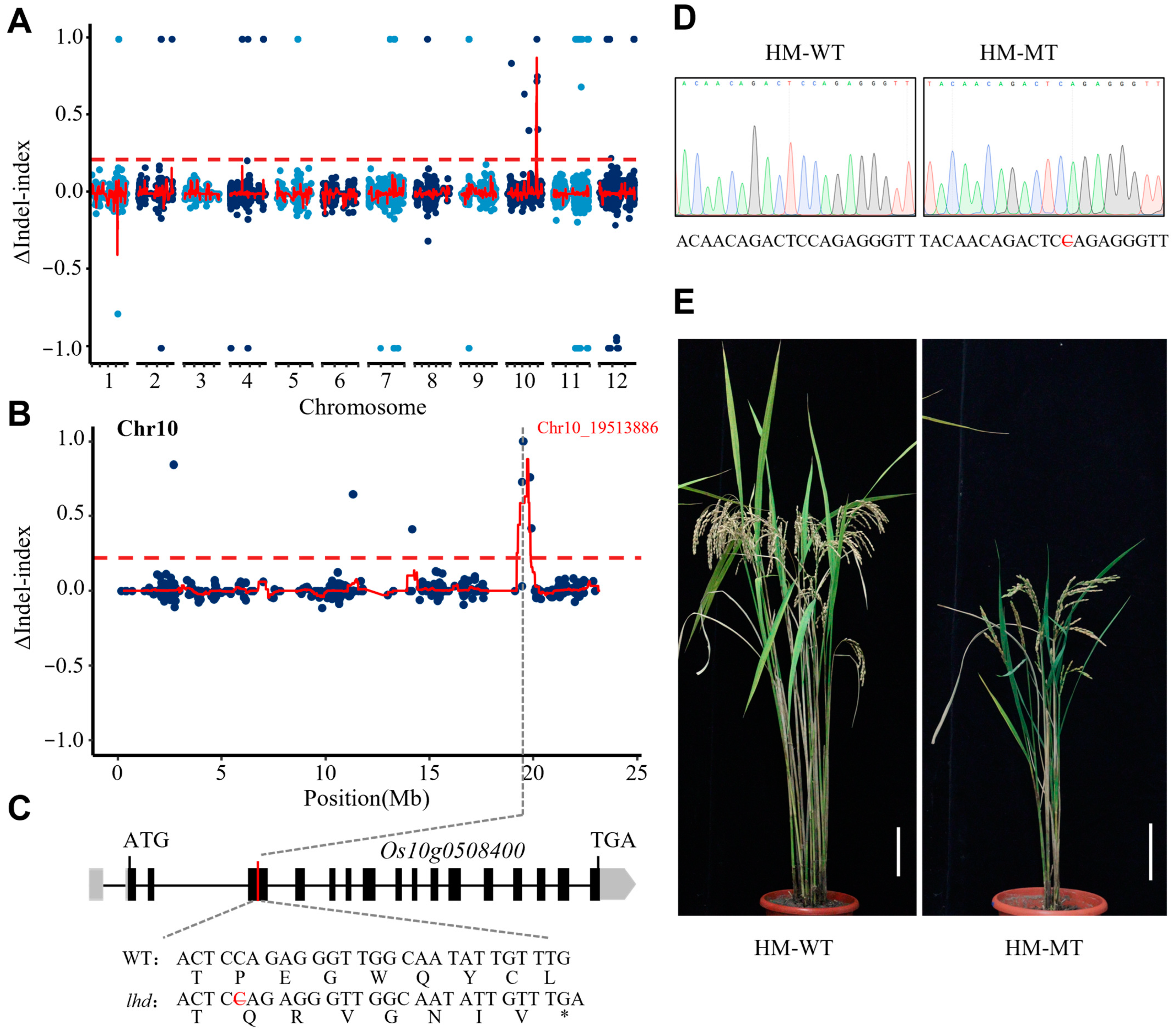 Biology 14 00178 g002