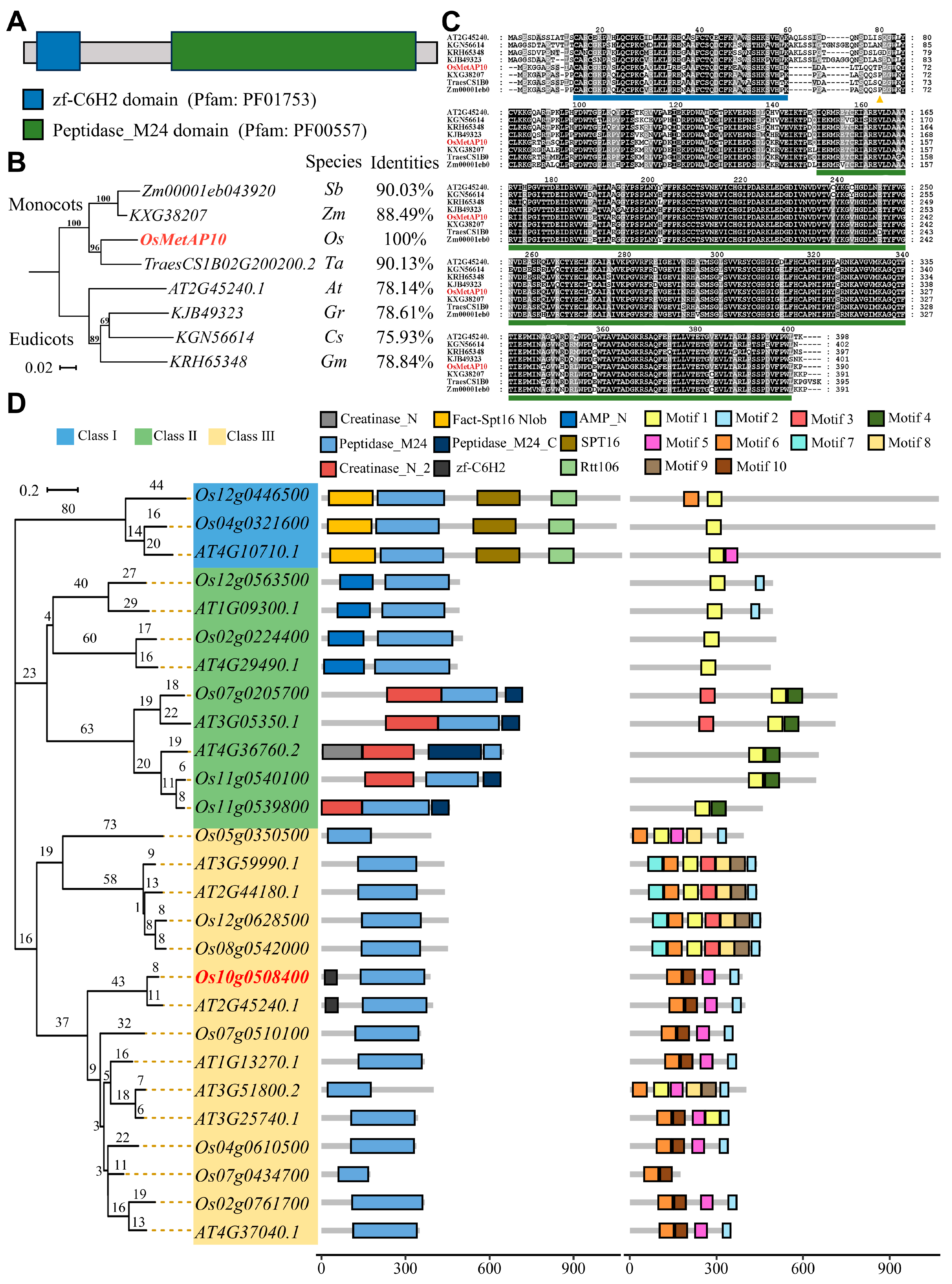Biology 14 00178 g003