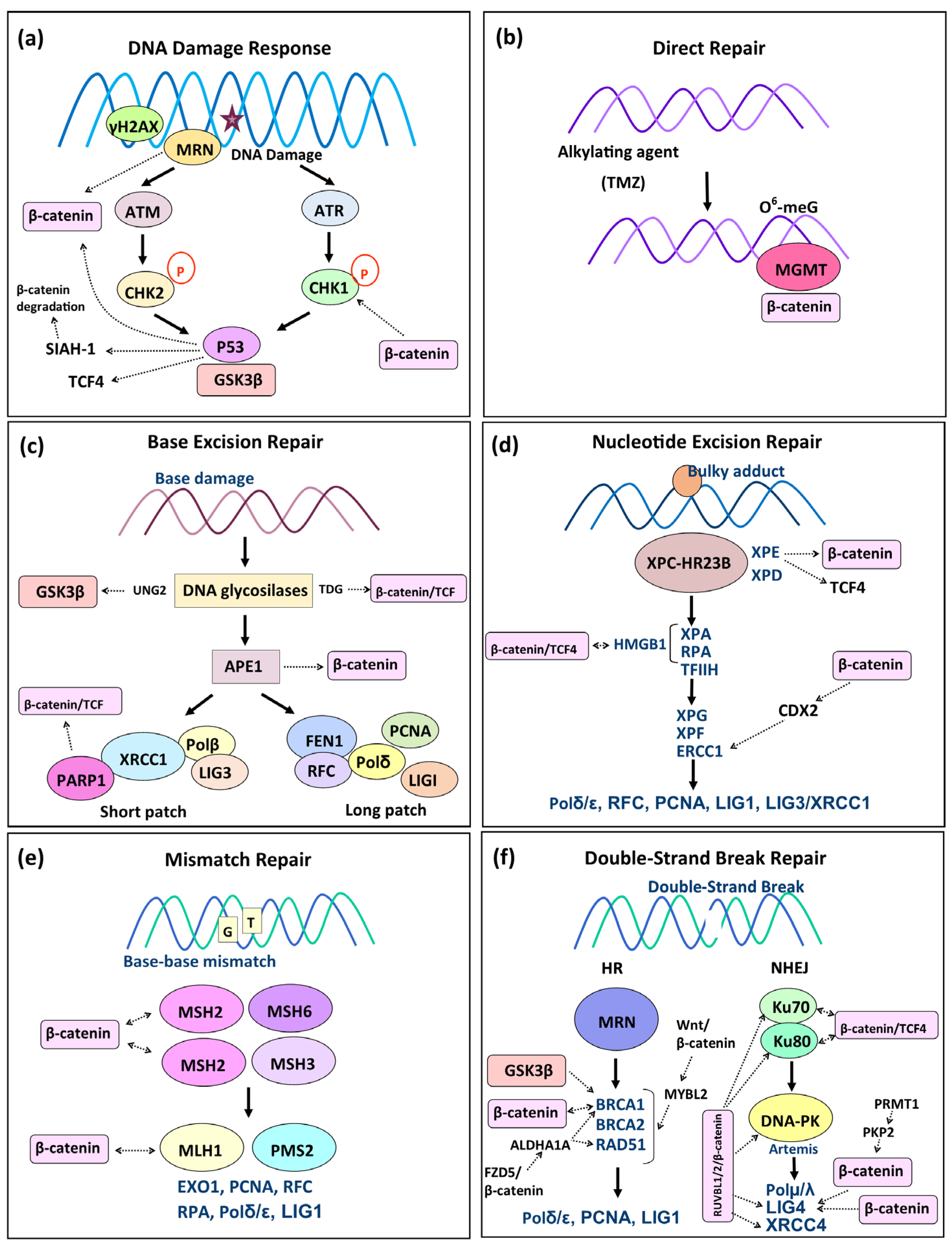 Biology 14 00185 g002
