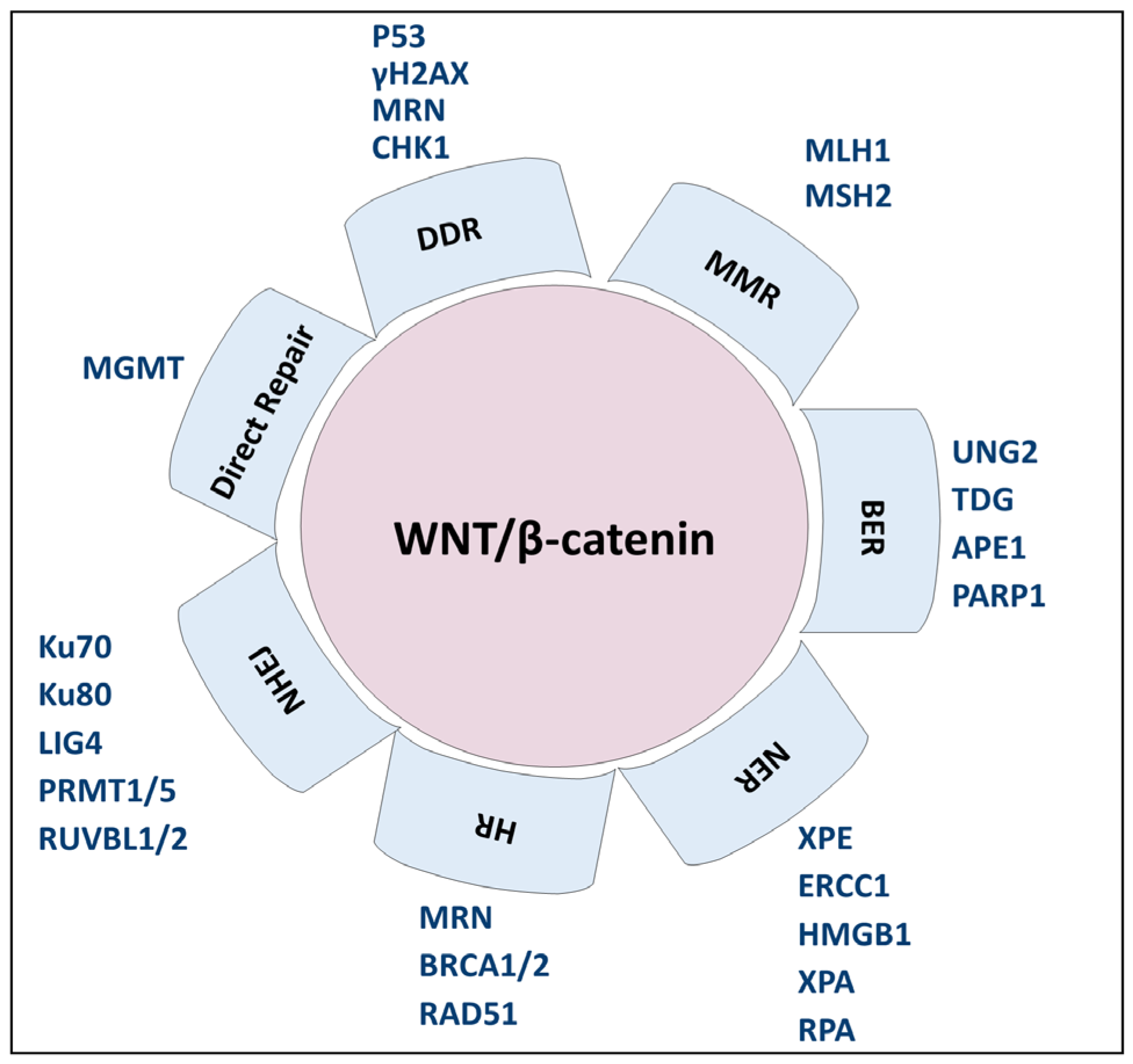Biology 14 00185 g003