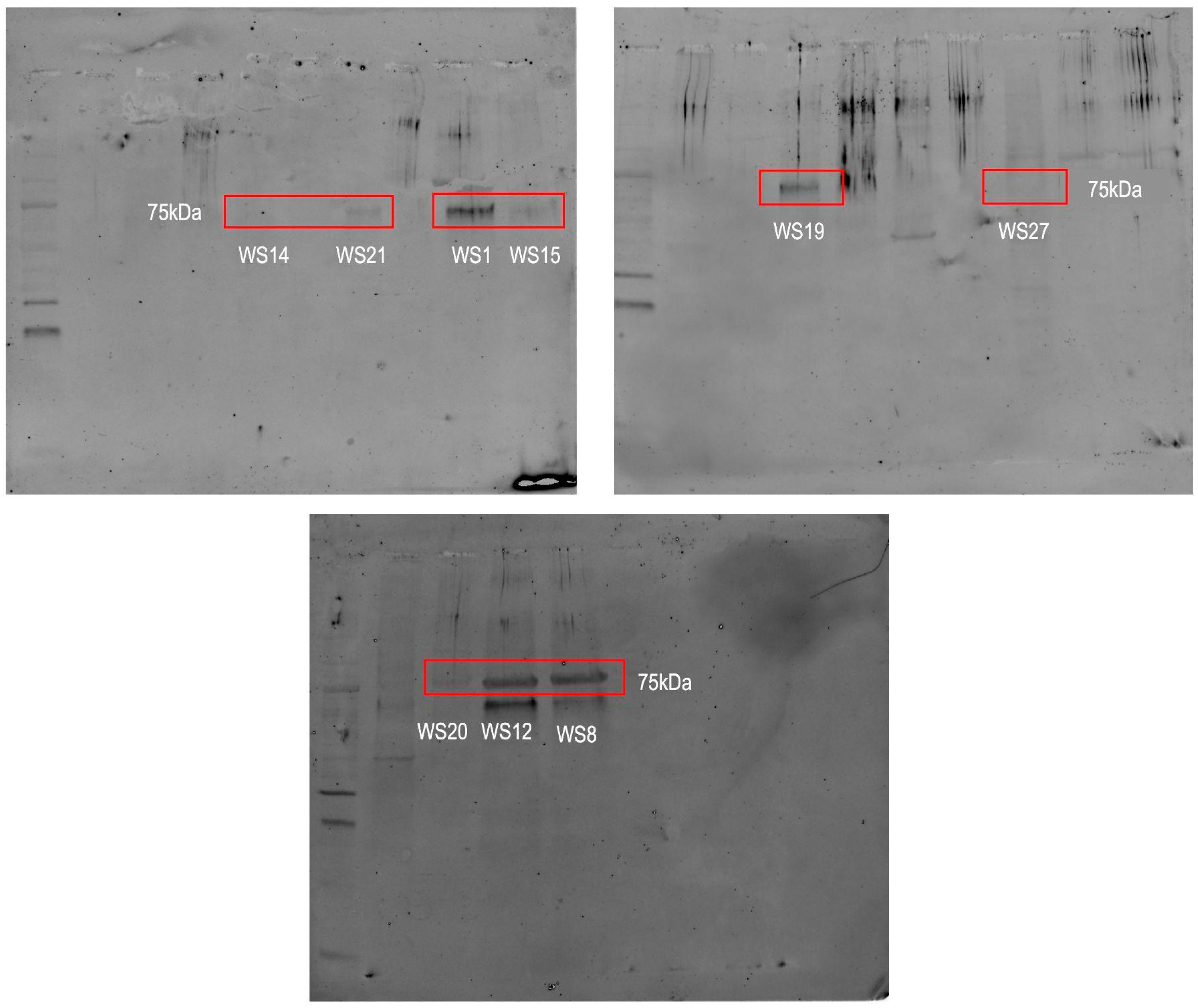 Biology 14 00192 g002