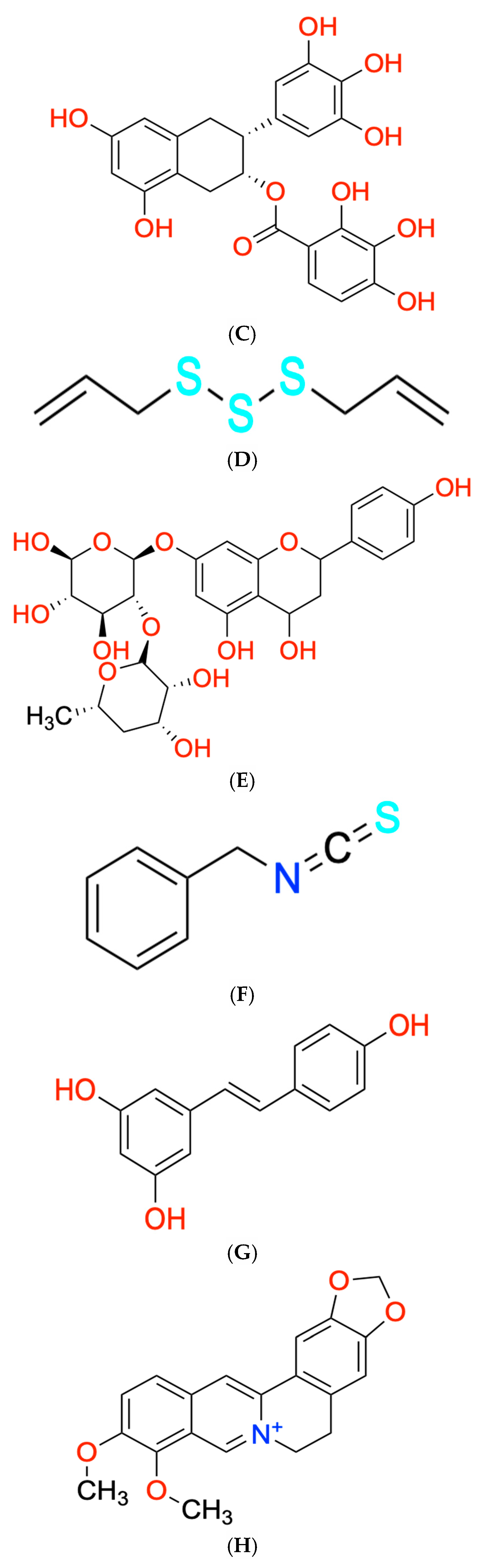 Biology 14 00194 g002b