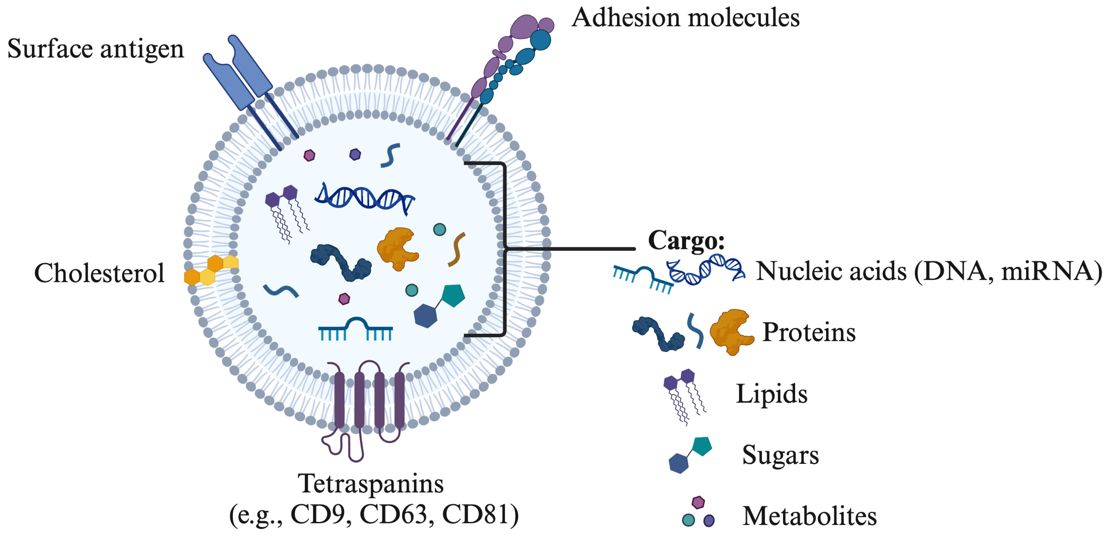 Biology 14 00198 g001