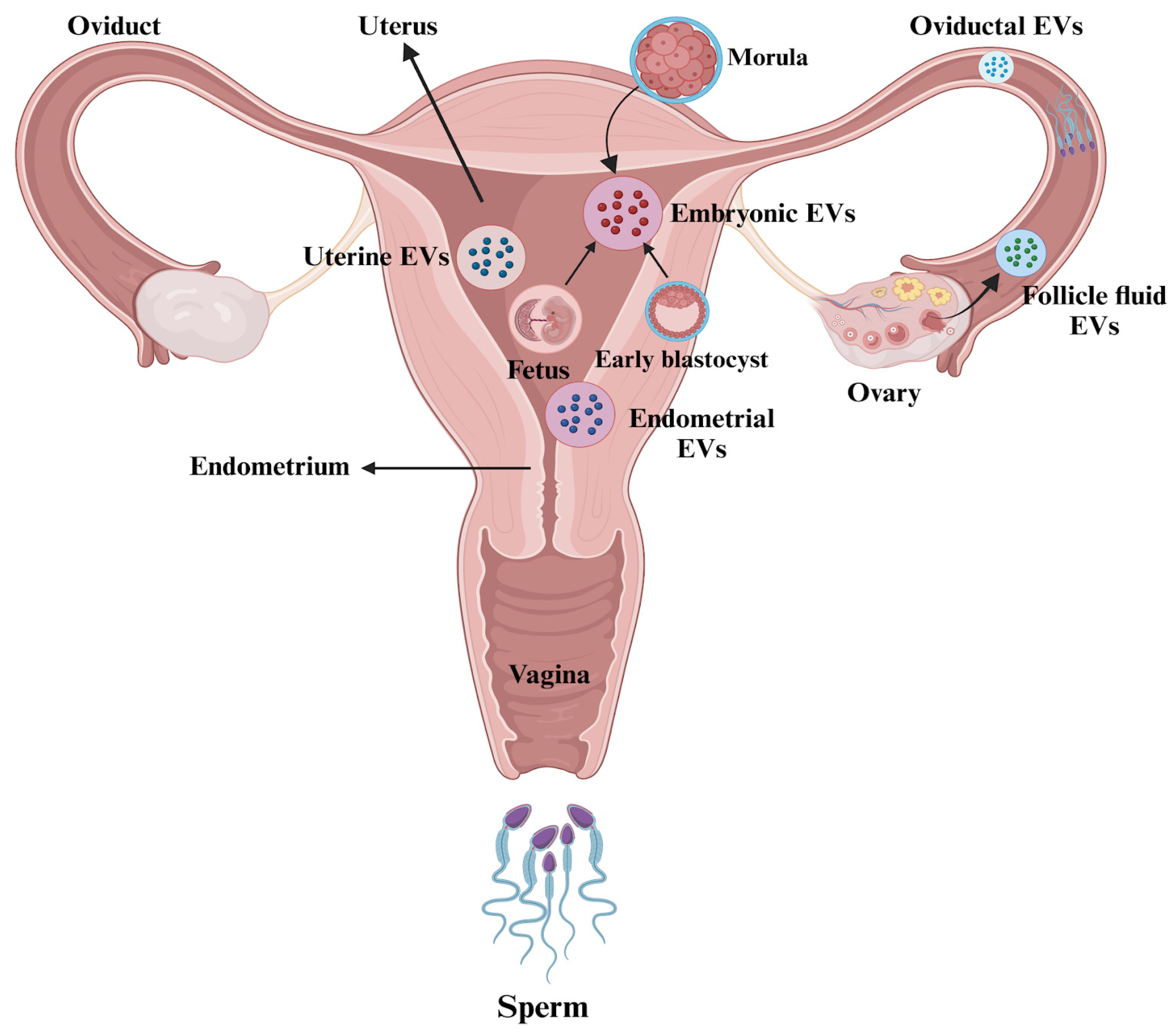 Biology 14 00198 g003