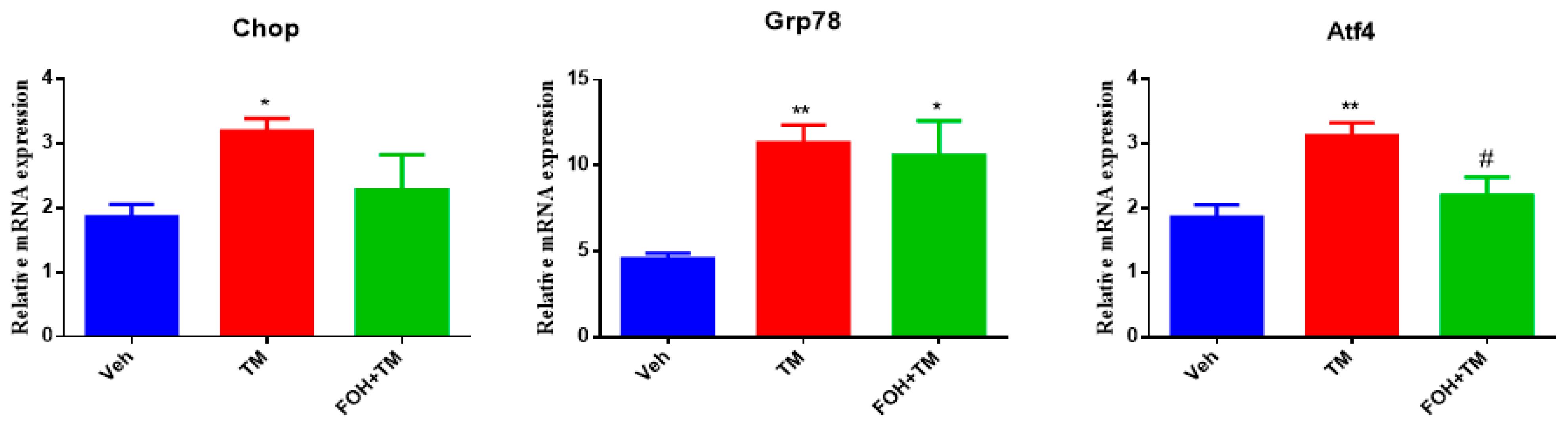 Biology 14 00213 g001