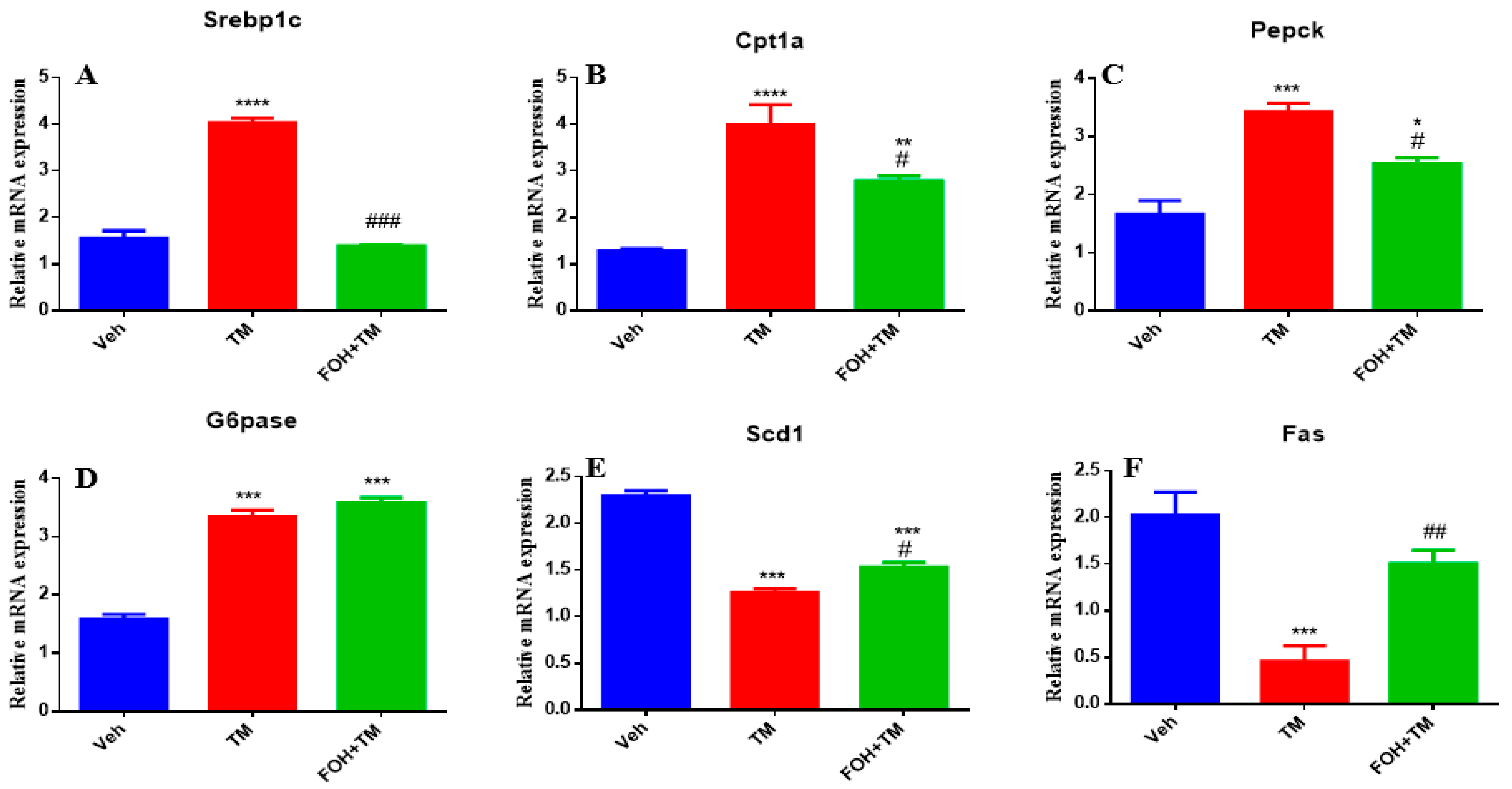 Biology 14 00213 g002