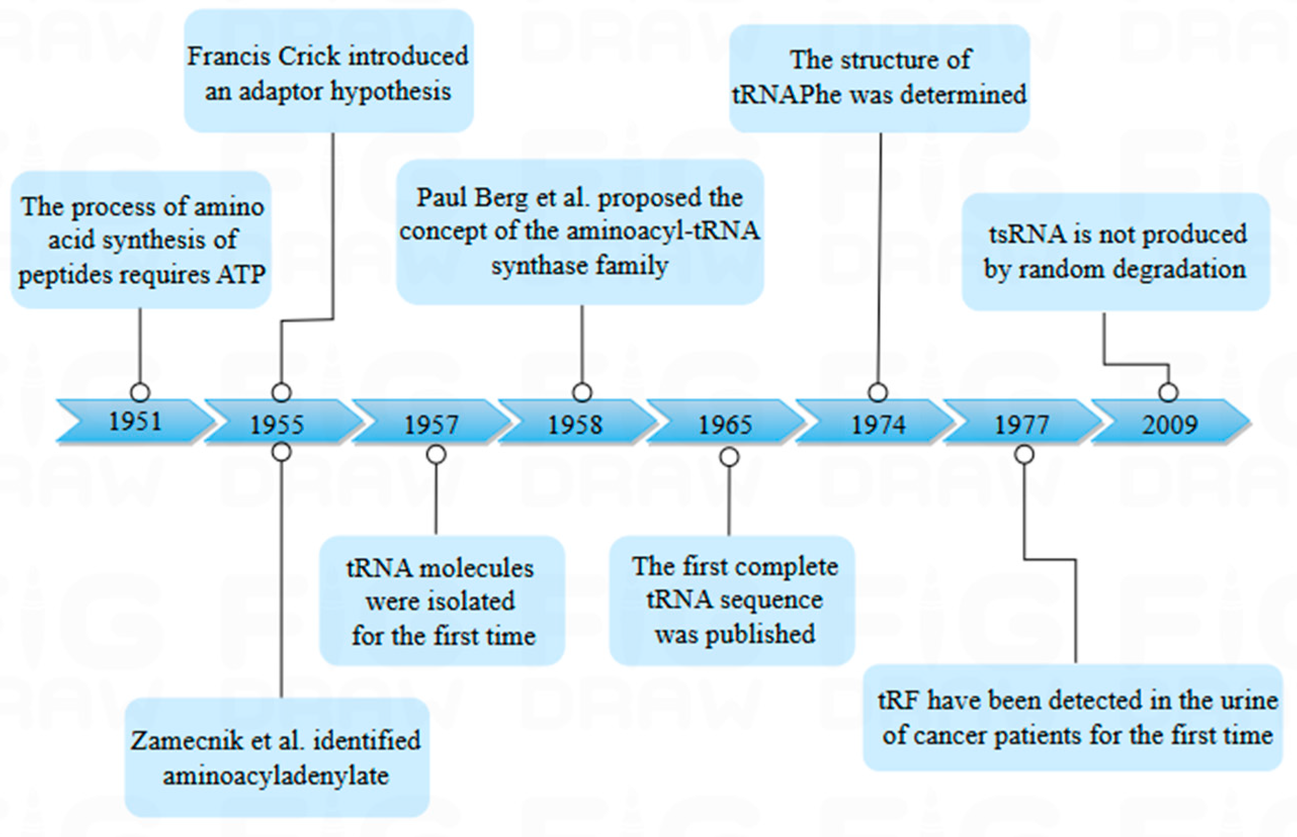 Biology 14 00218 g001