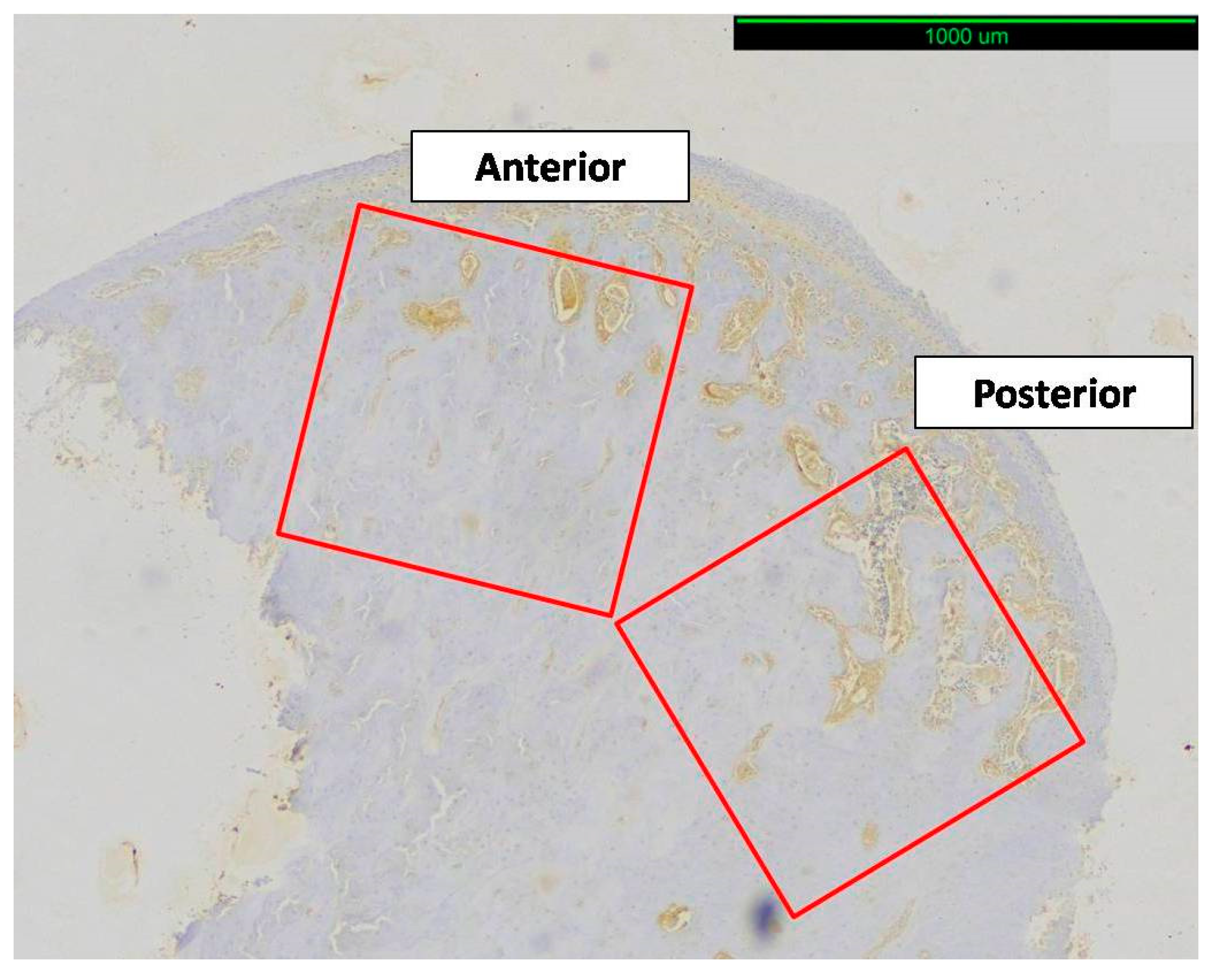 Biology 14 00228 g003