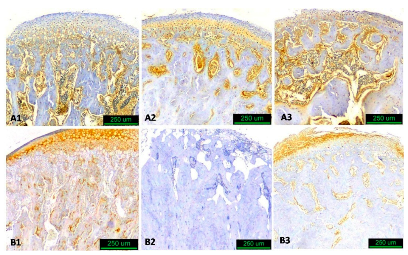 Biology 14 00228 g004