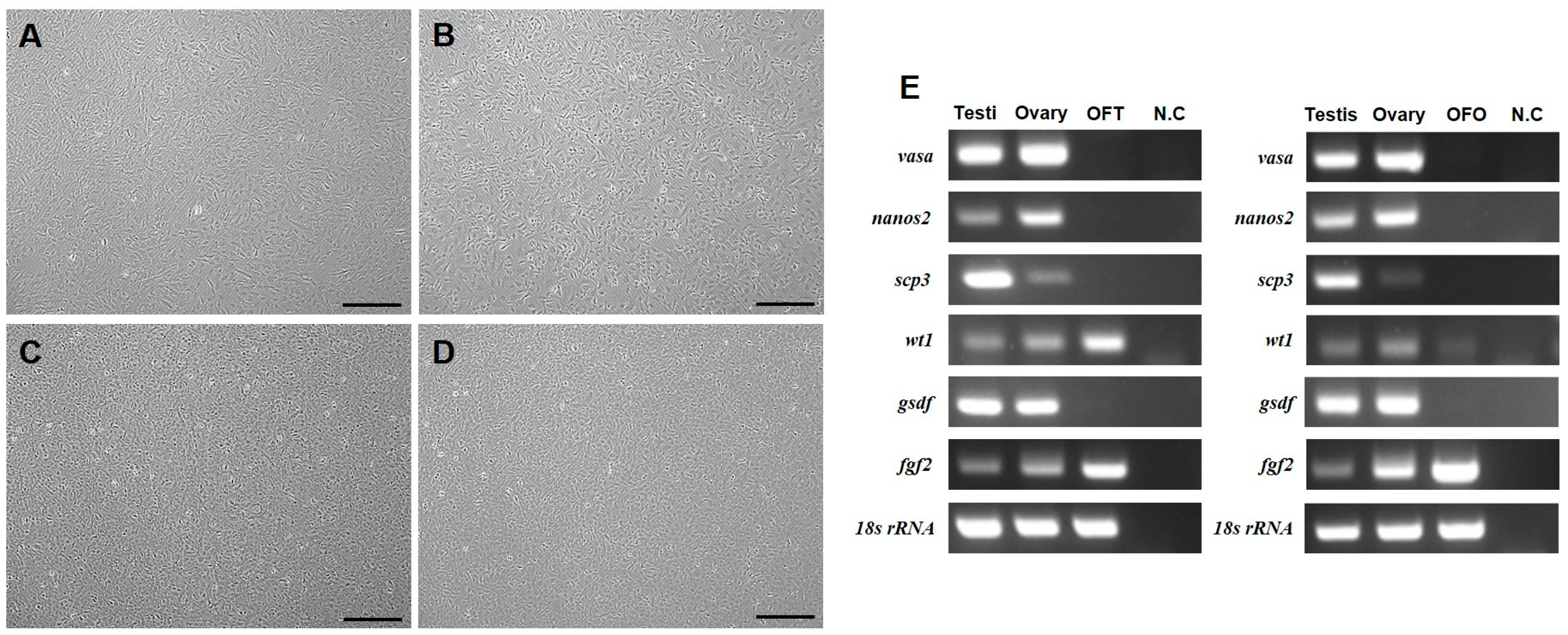 Biology 14 00229 g001