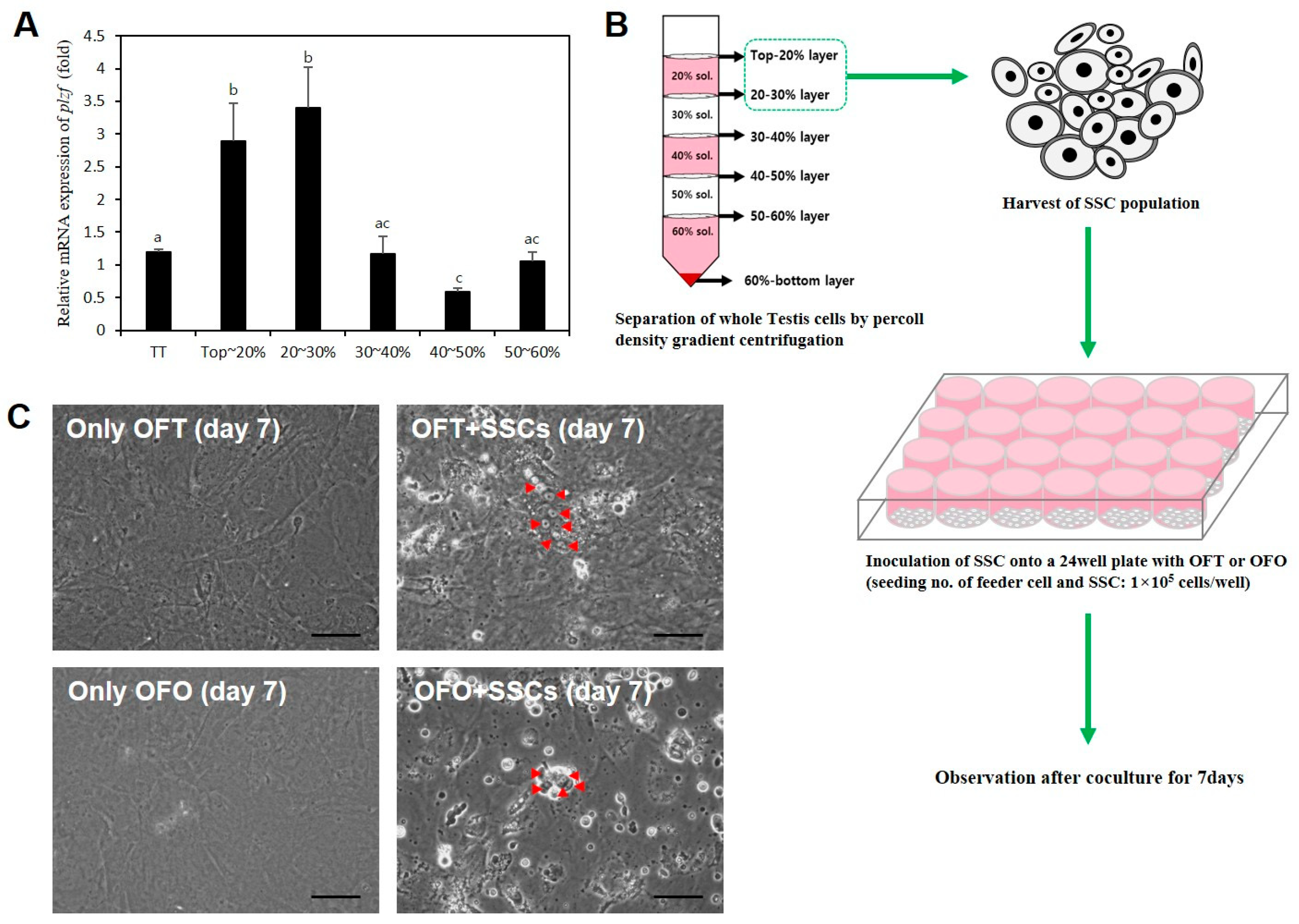 Biology 14 00229 g006
