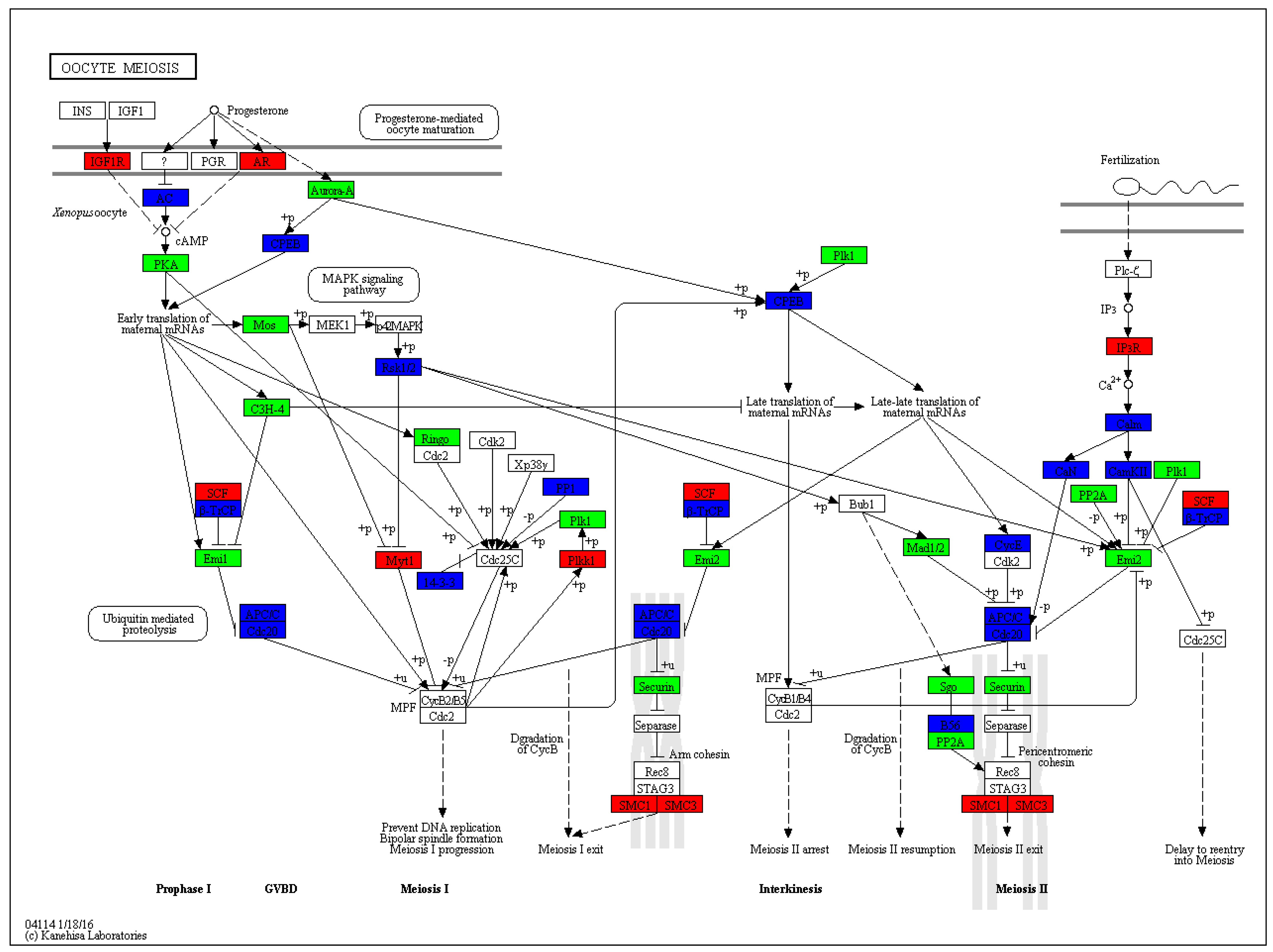 Biology 14 00232 g005