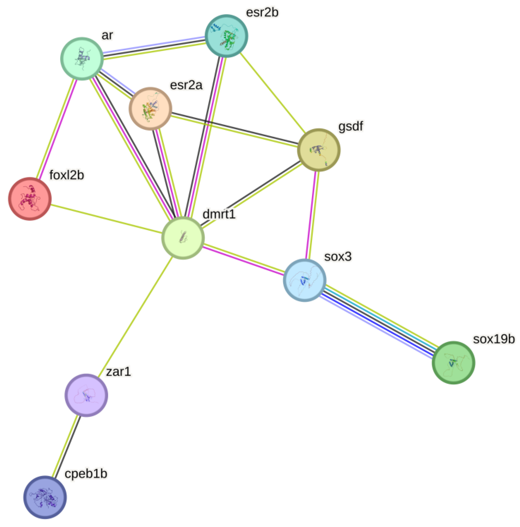 Biology 14 00232 g009