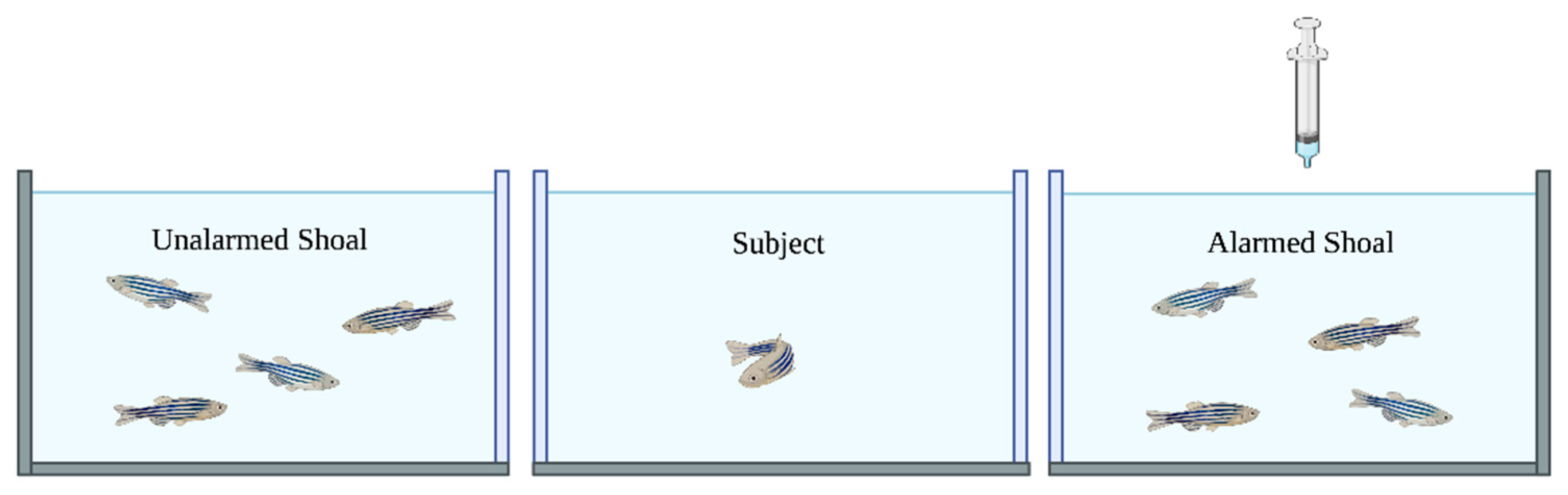 Biology 14 00233 g001 Biology 14 00233 g001