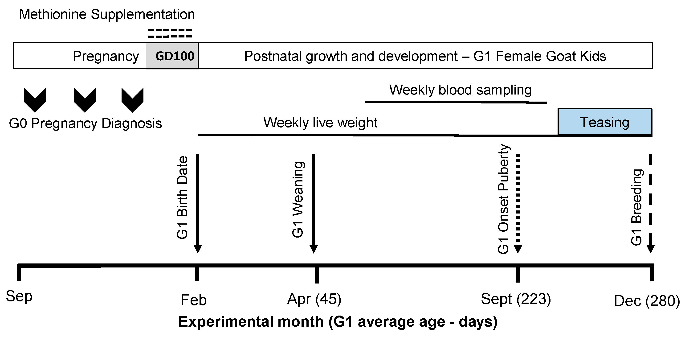Biology 14 00237 g001