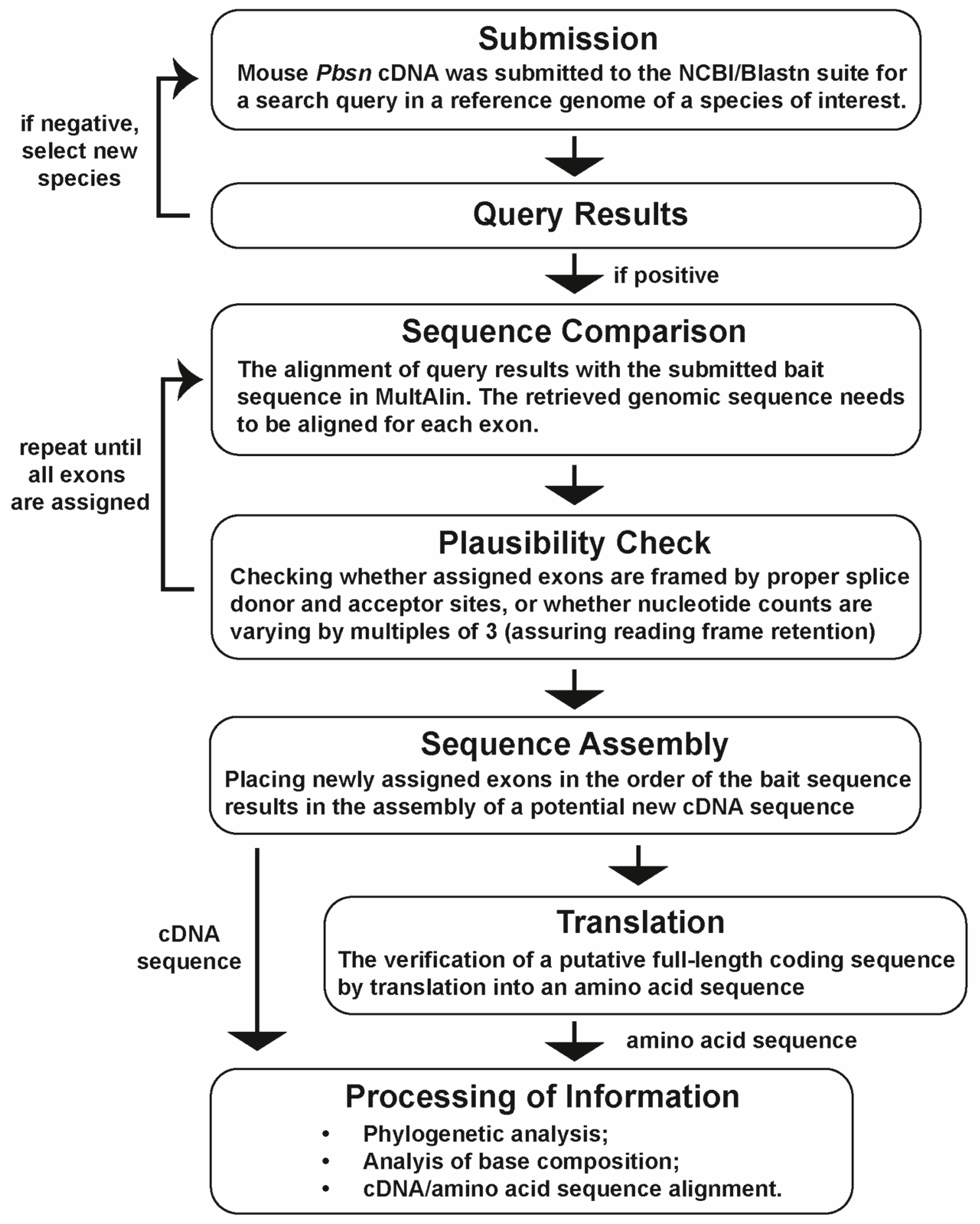 Biology 14 00239 g001