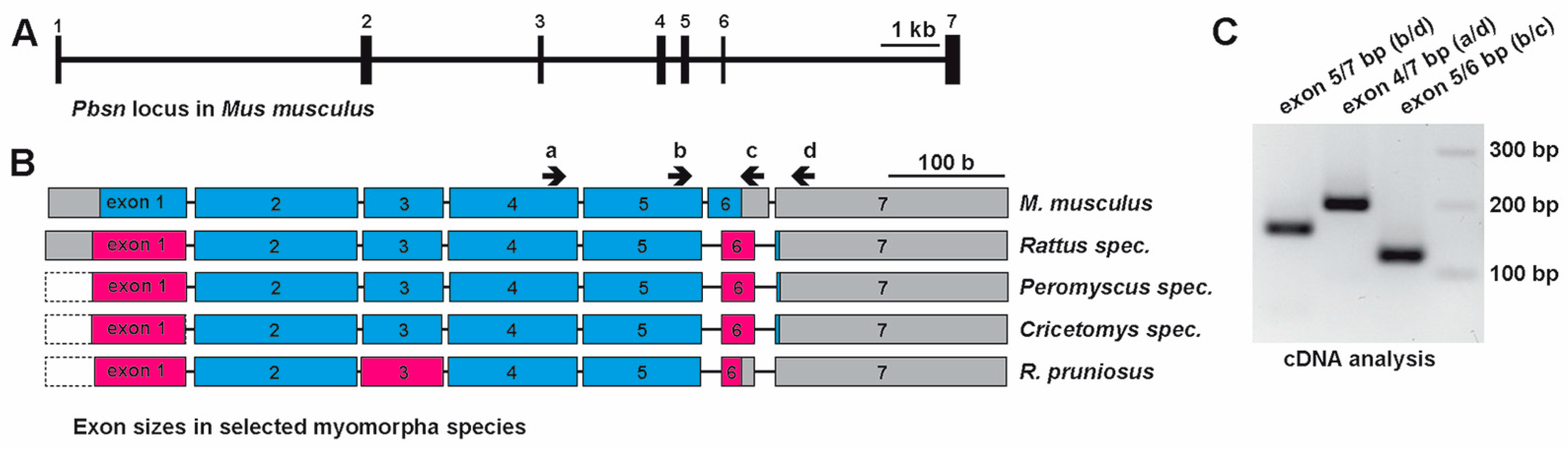 Biology 14 00239 g002