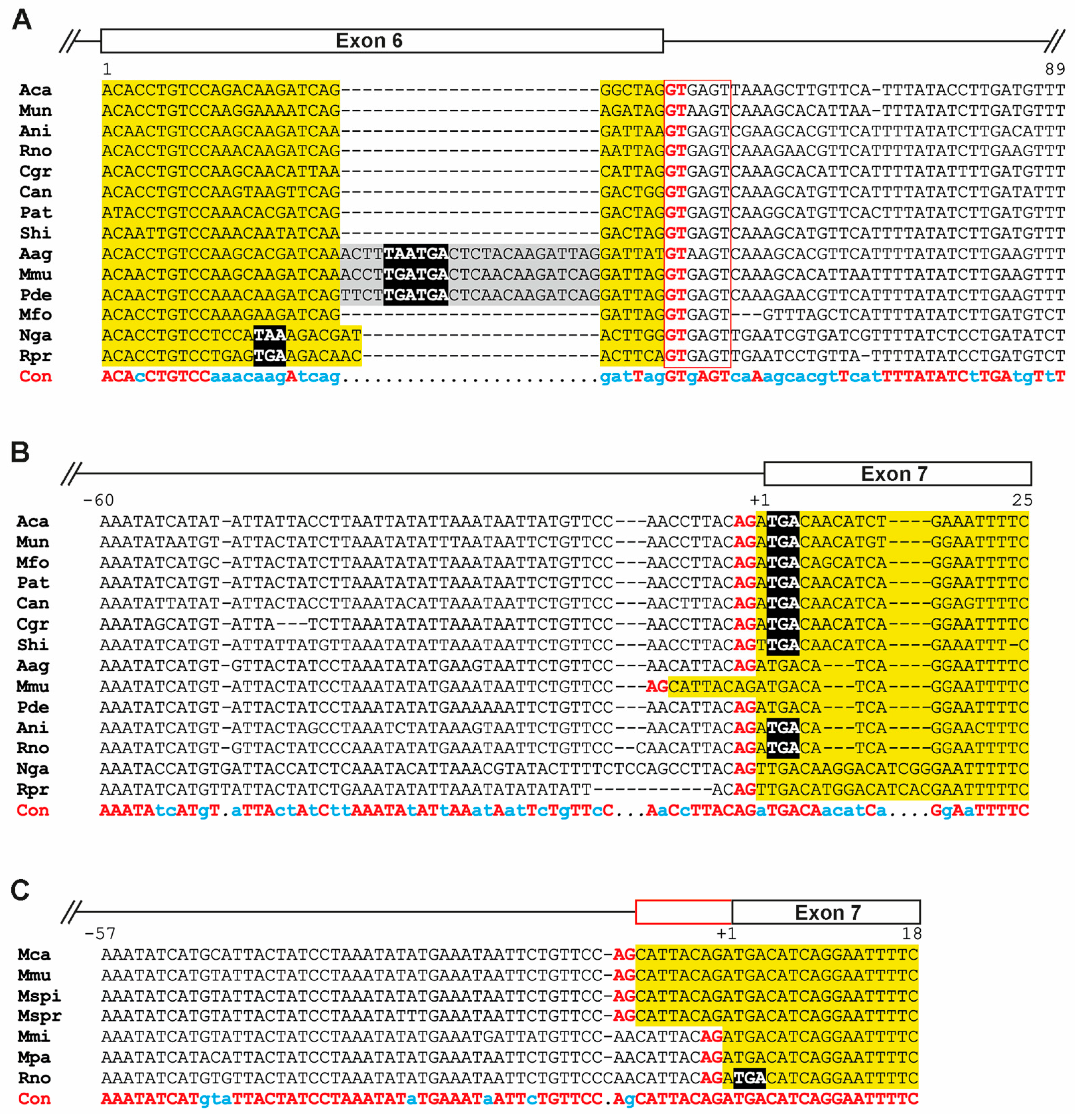 Biology 14 00239 g003