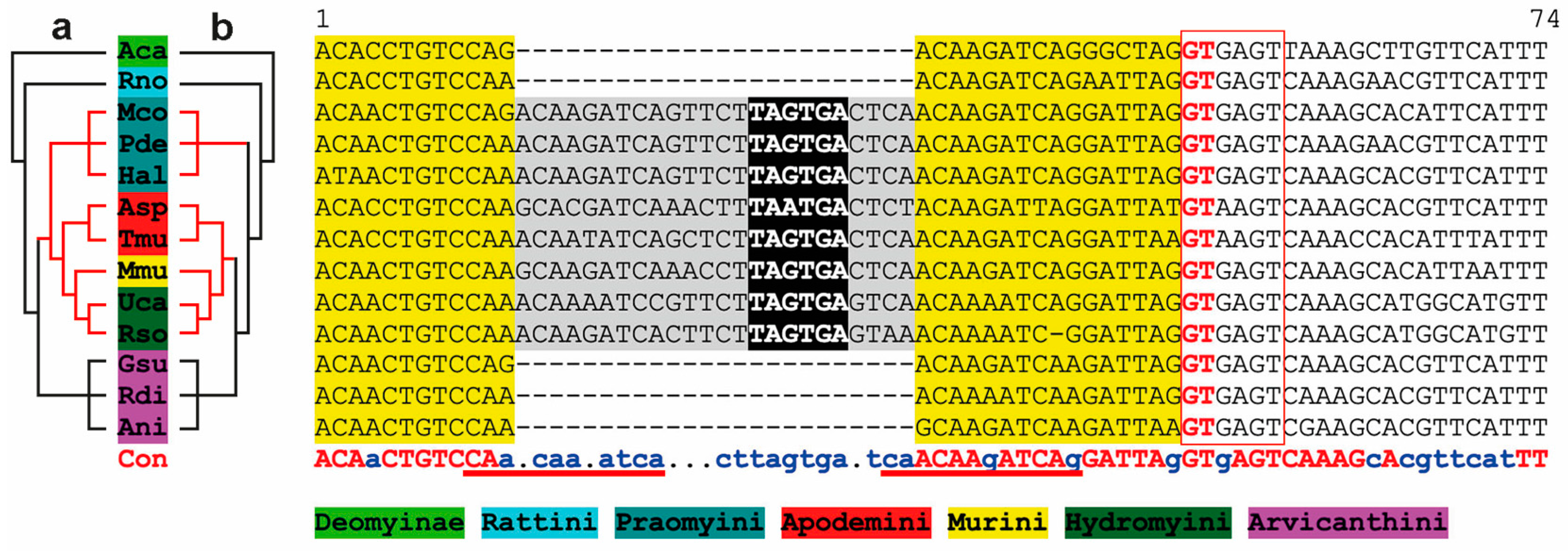 Biology 14 00239 g004