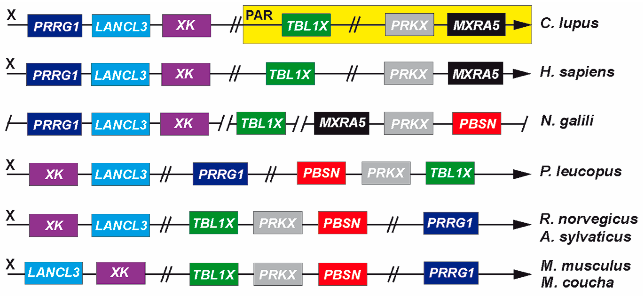 Biology 14 00239 g007