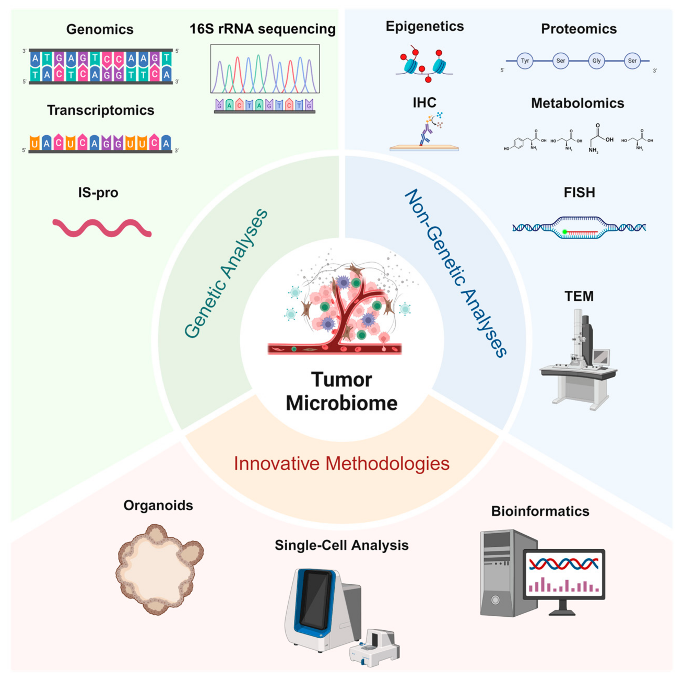 Biology 14 00243 g001