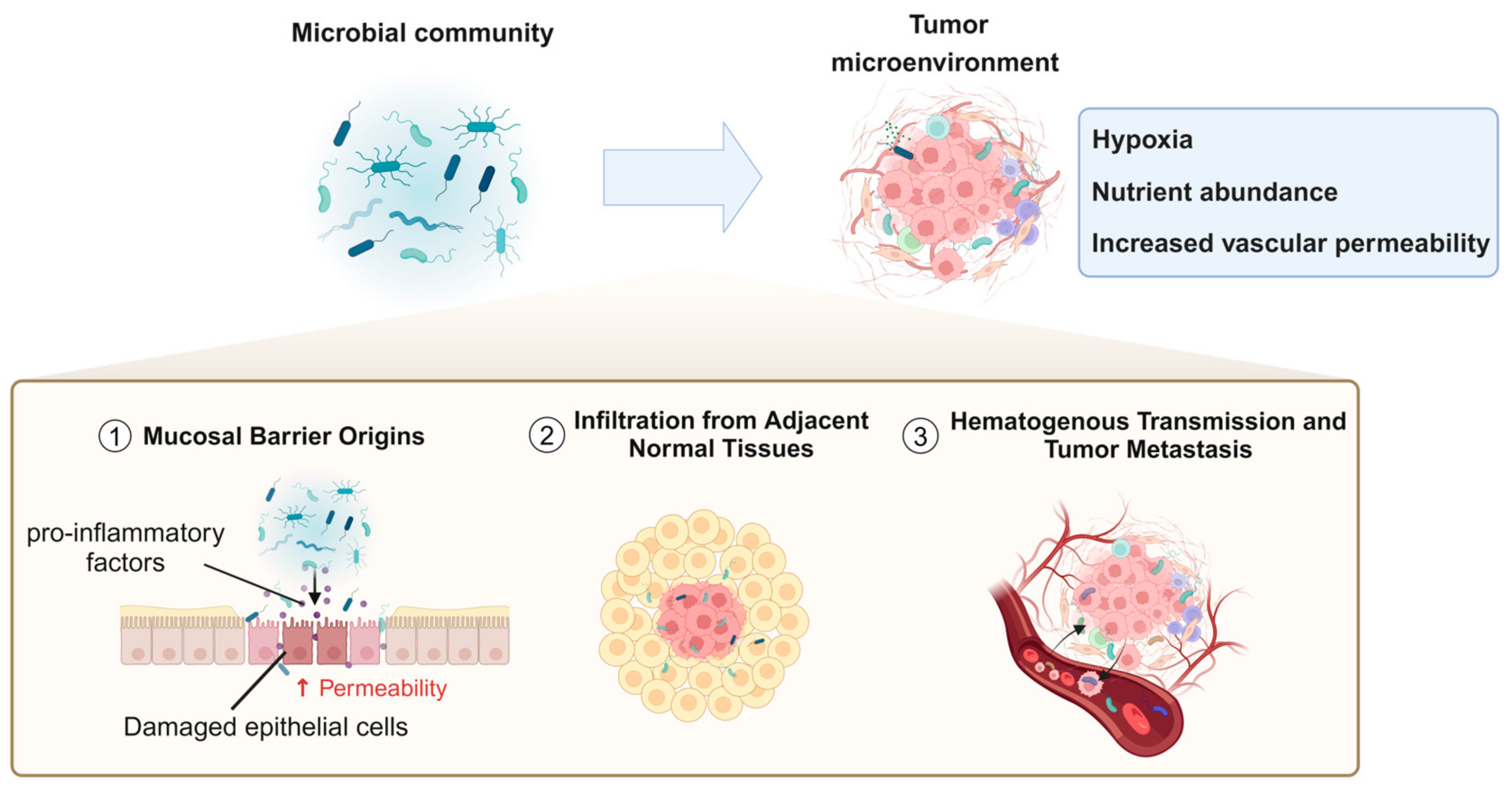 Biology 14 00243 g002