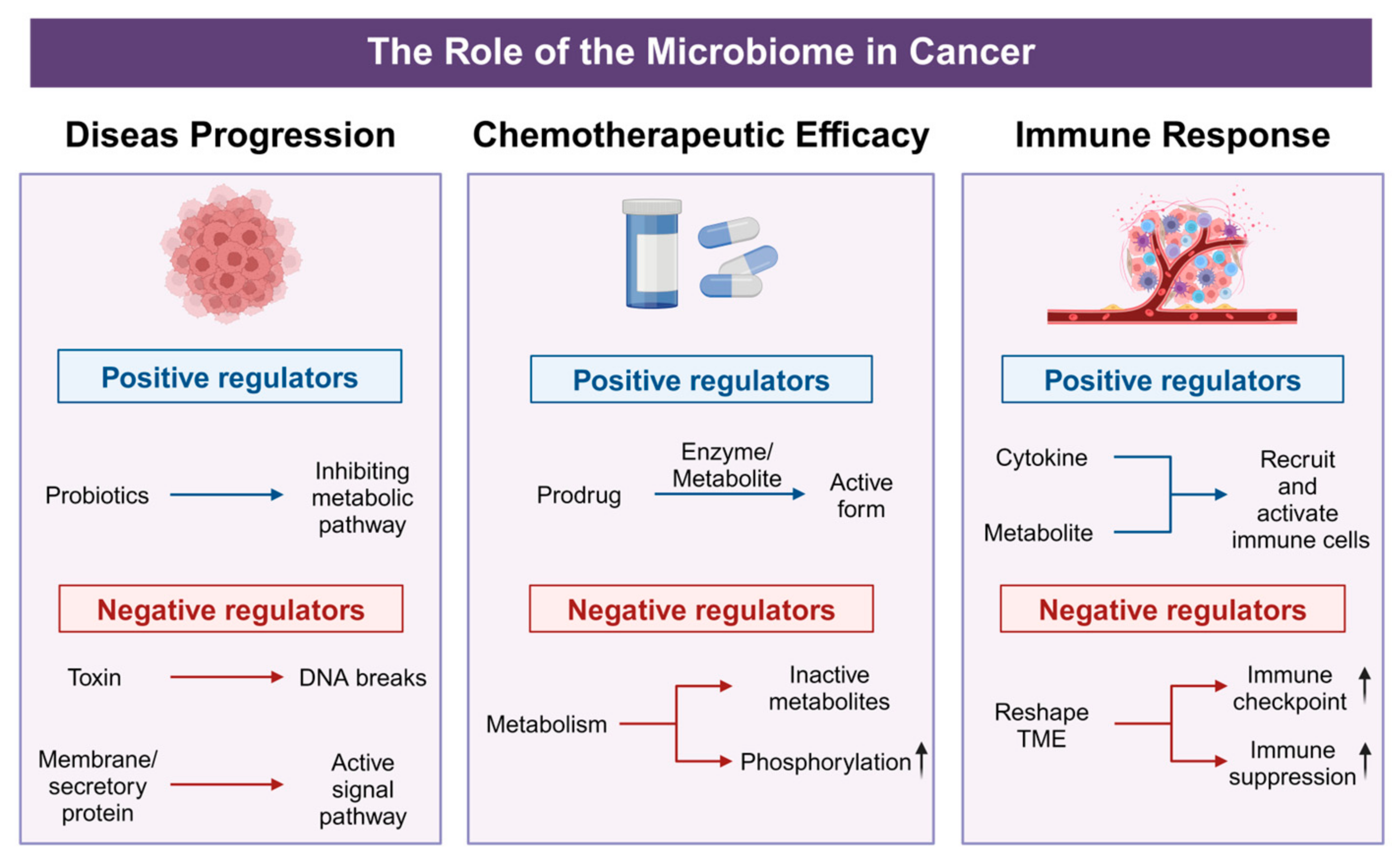 Biology 14 00243 g003