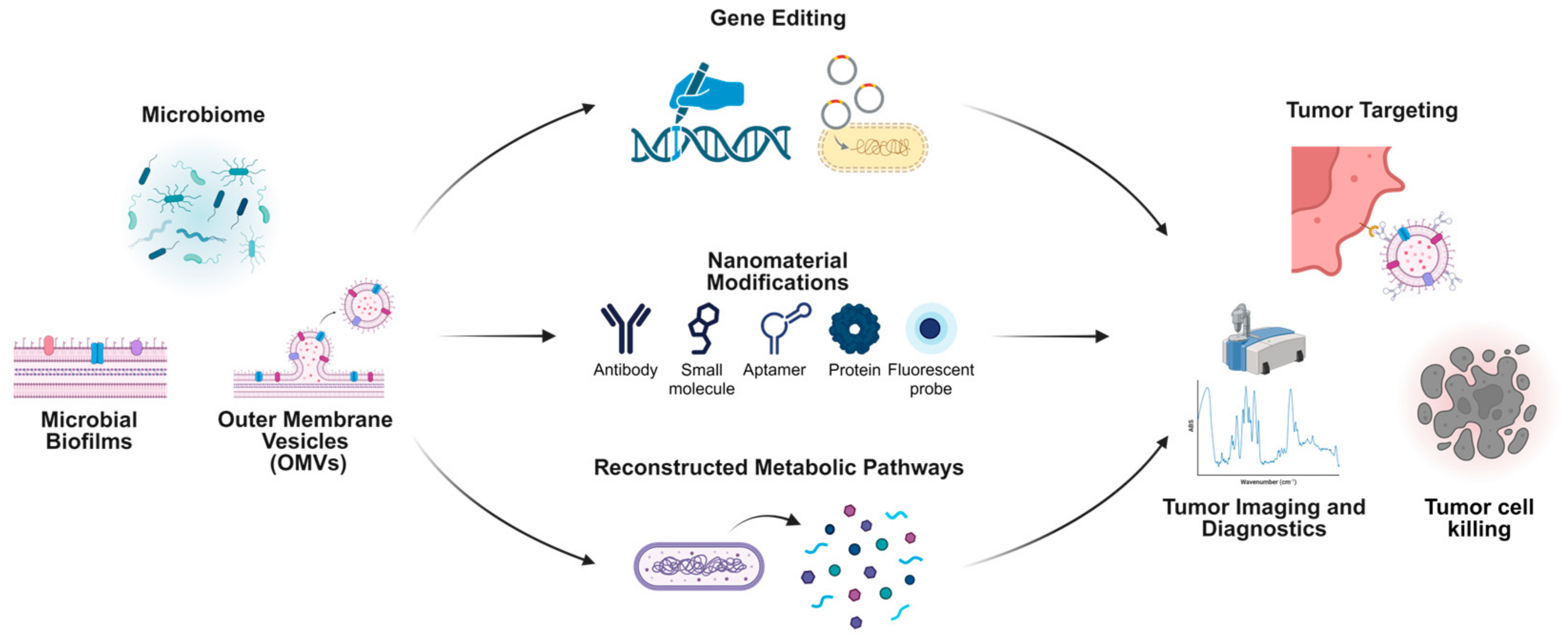 Biology 14 00243 g004