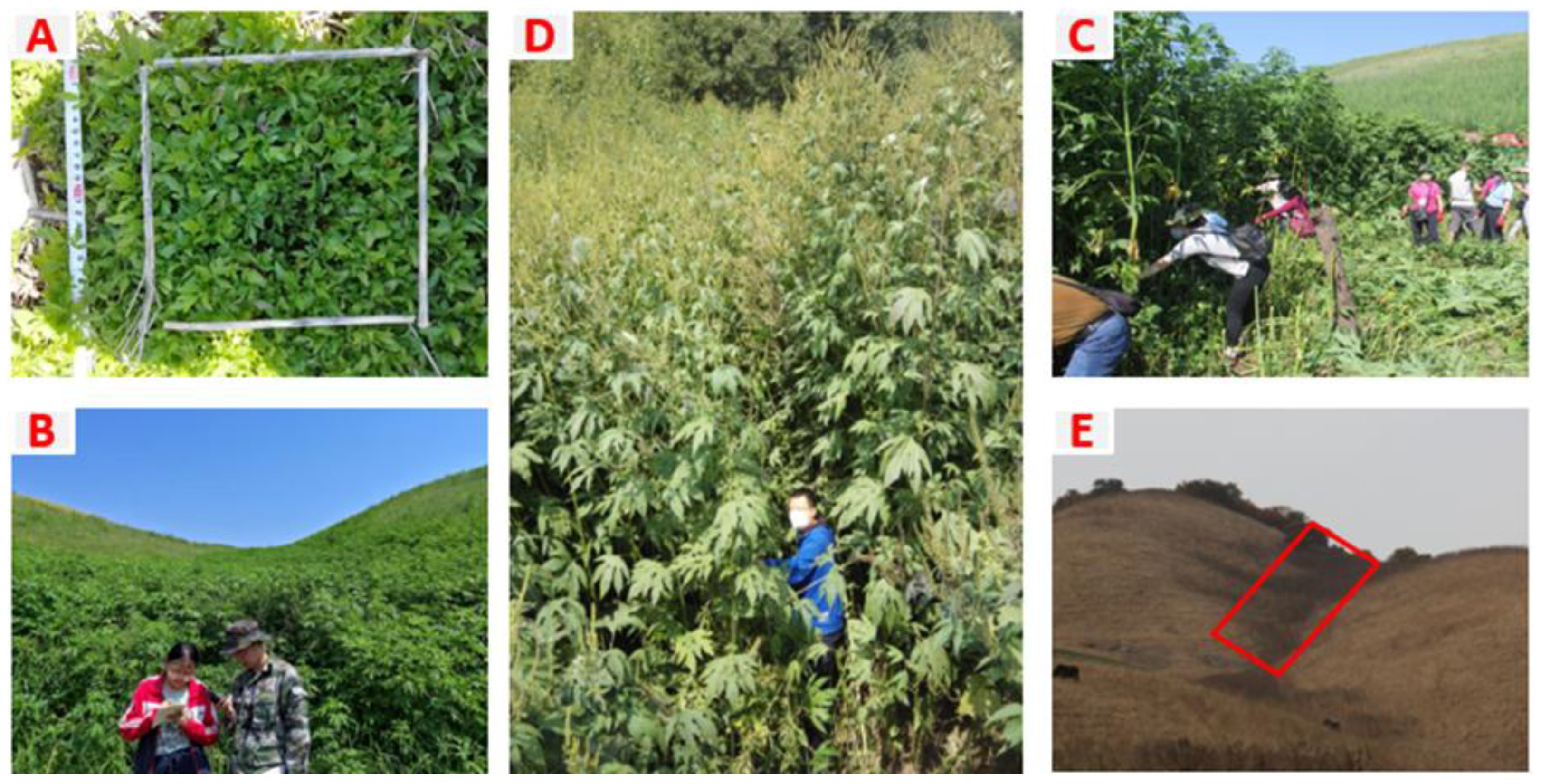 Biology 14 00249 g001