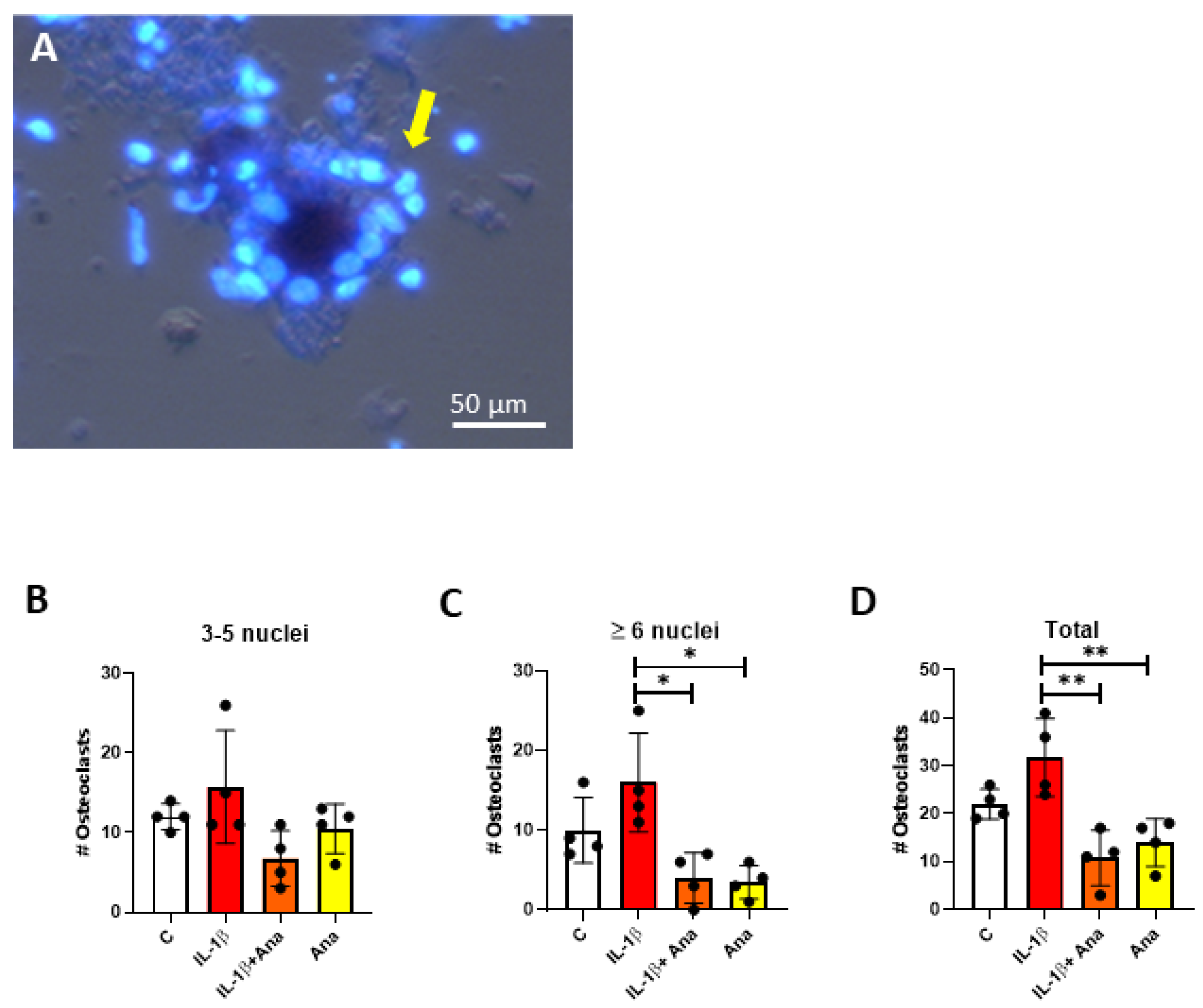 Biology 14 00250 g003
