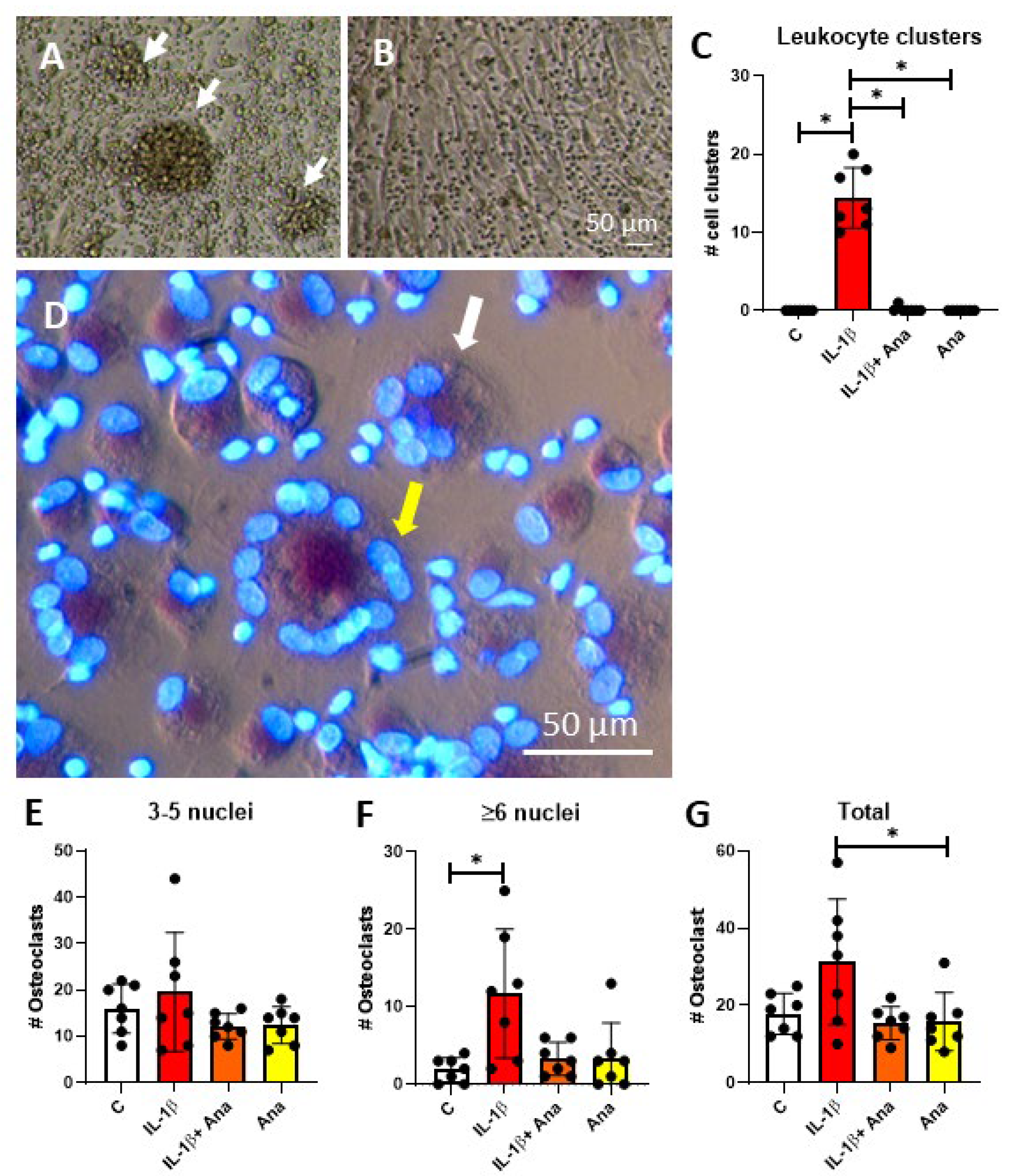 Biology 14 00250 g004