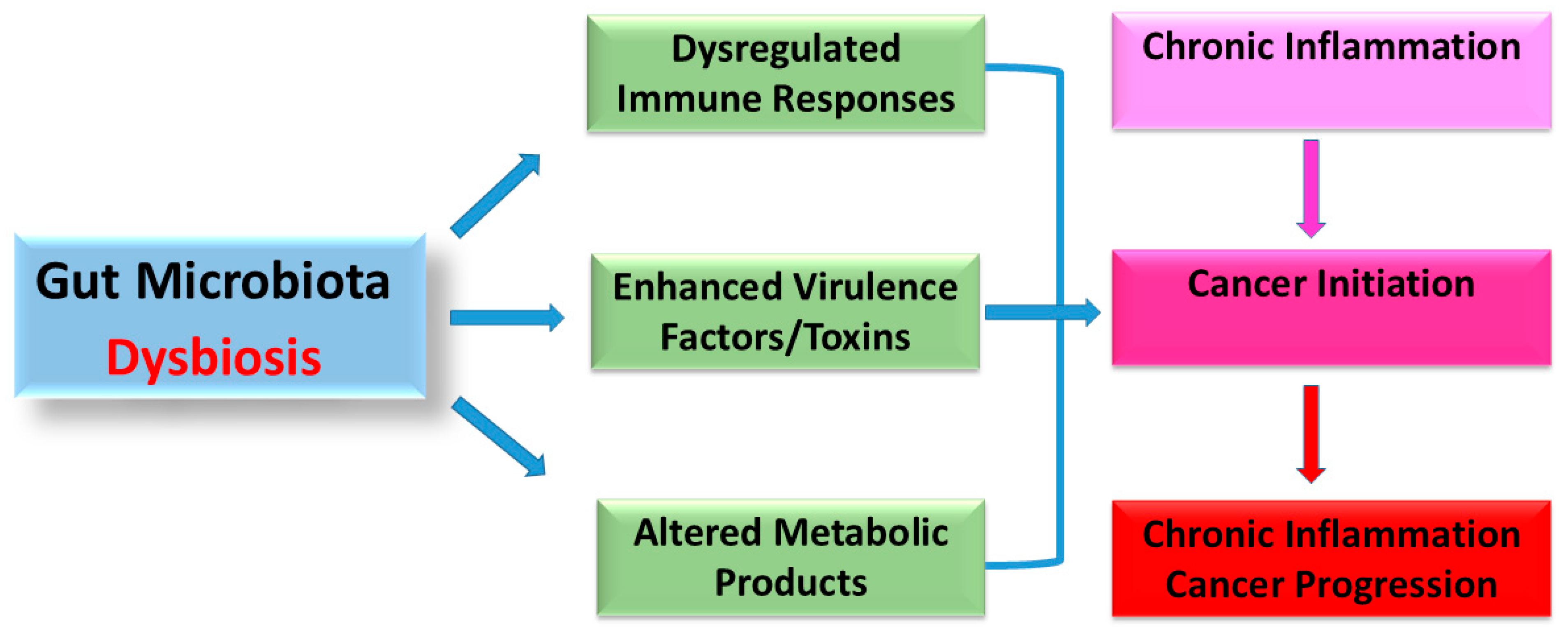 Biology 14 00251 g001
